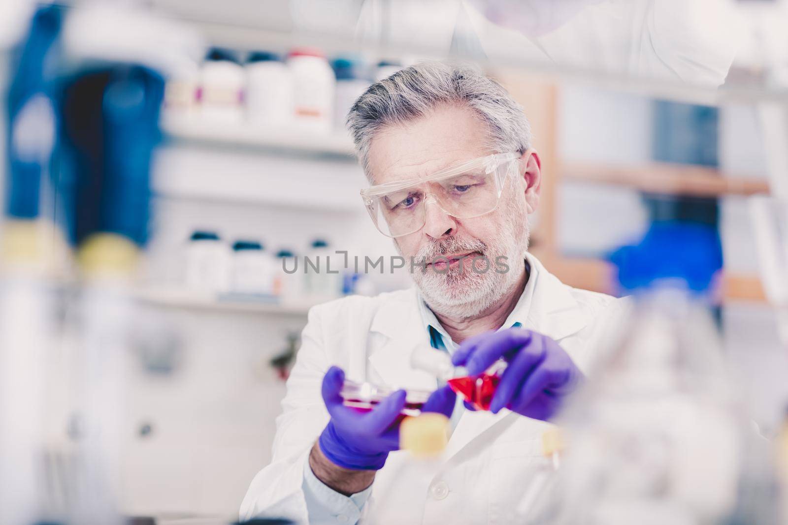 Life scientist researching in laboratory. Life sciences study living organisms on the level of microorganisms, viruses, human, animal and plant cells, genes, DNA...