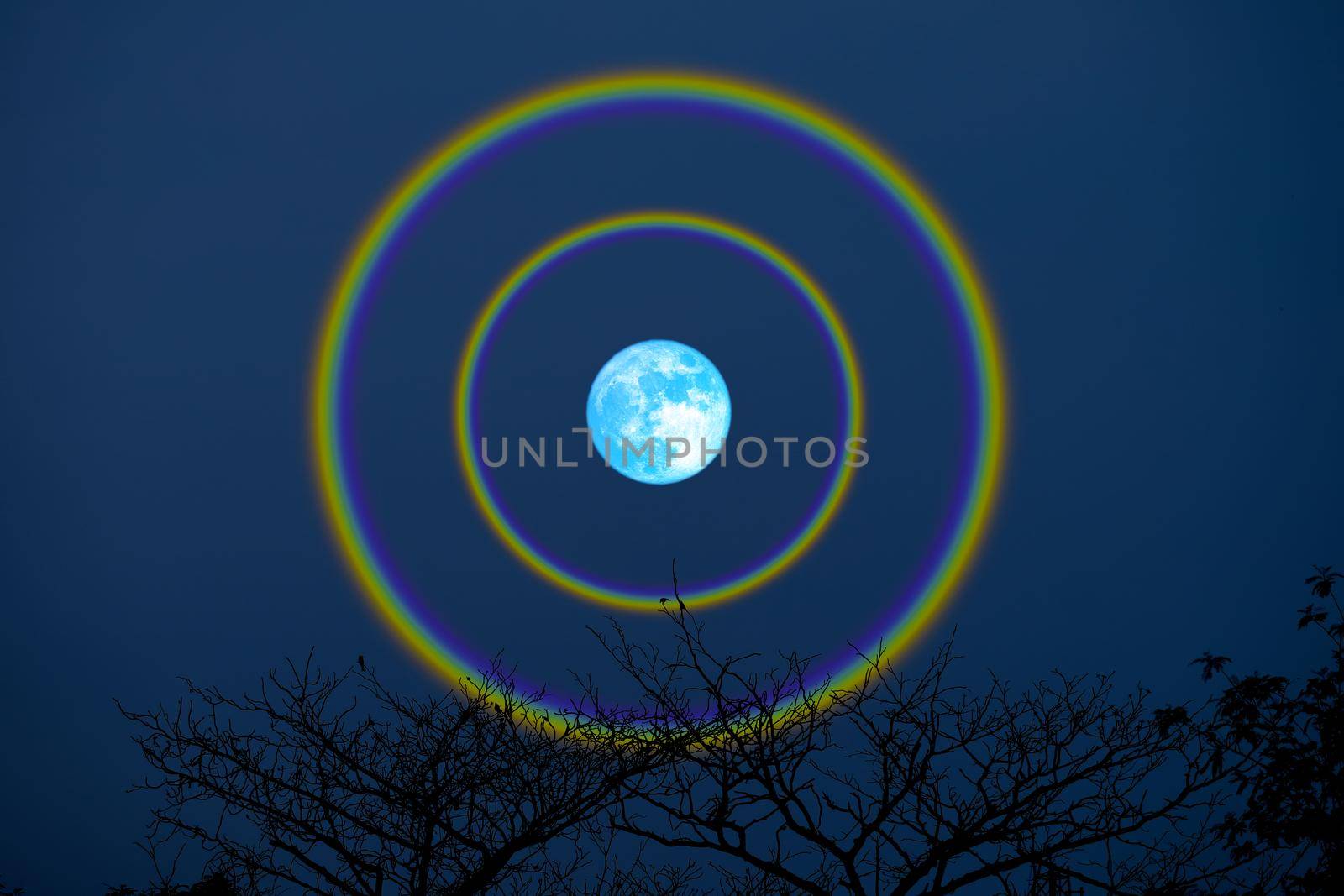 harvest blue moon double halo over top trees in the night sky, Elements of this image furnished by NASA