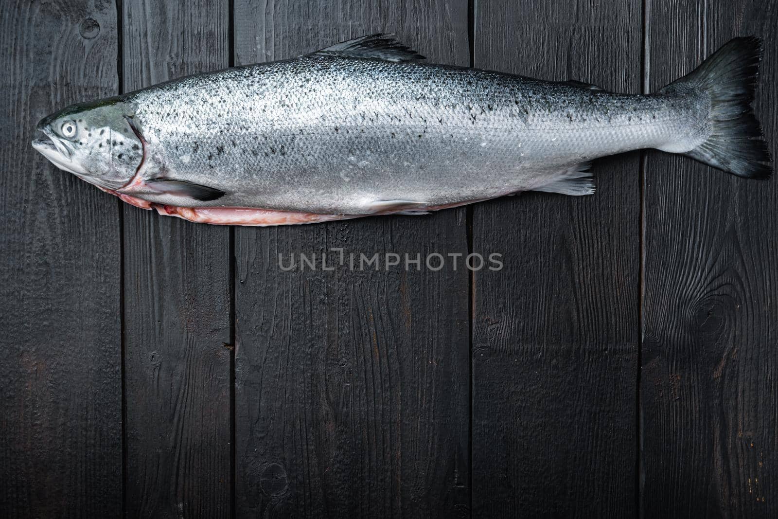 Fresh whole trout on black wooden surface, top view with copy space.
