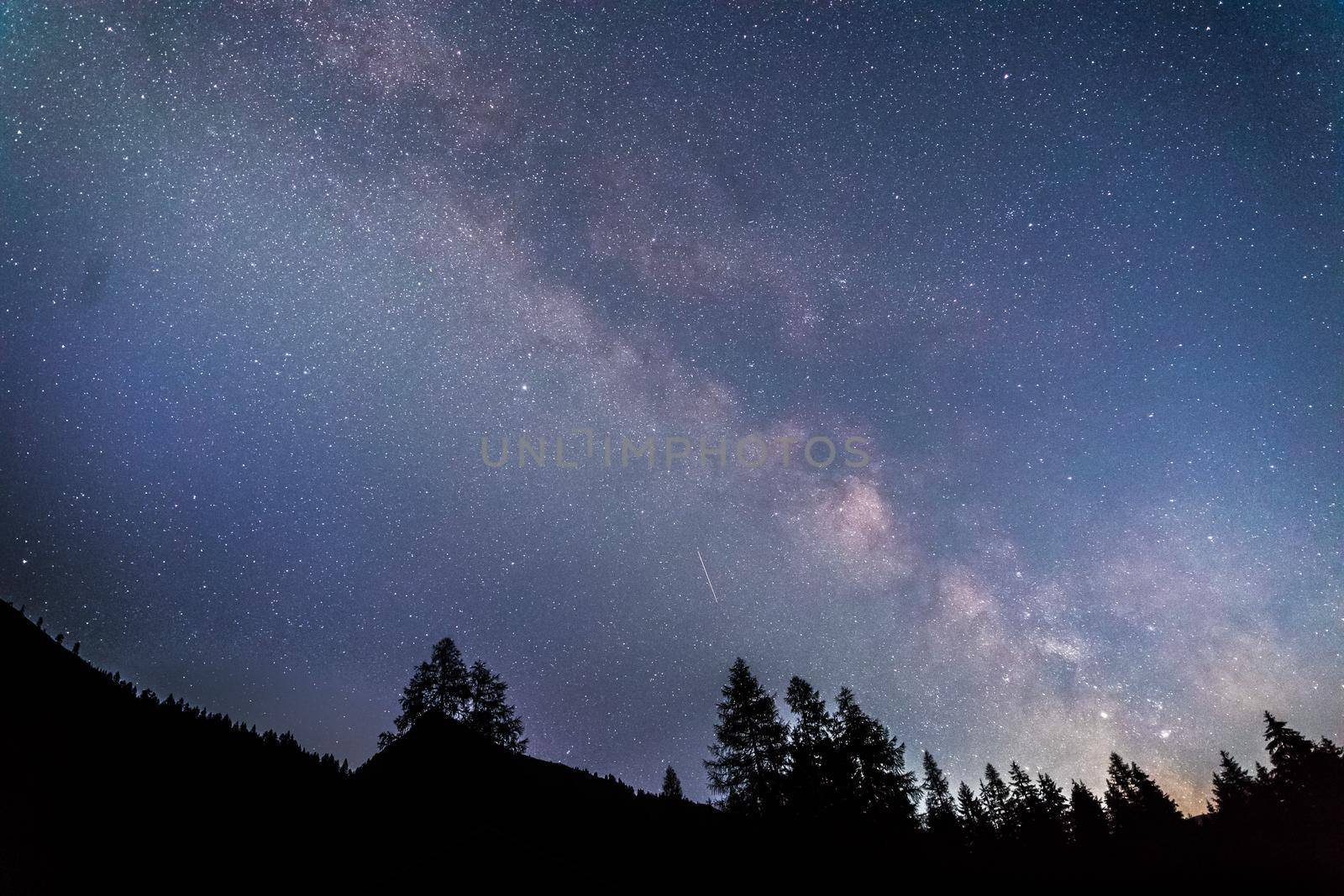 Milky way clear at night, silhouettes of trees
