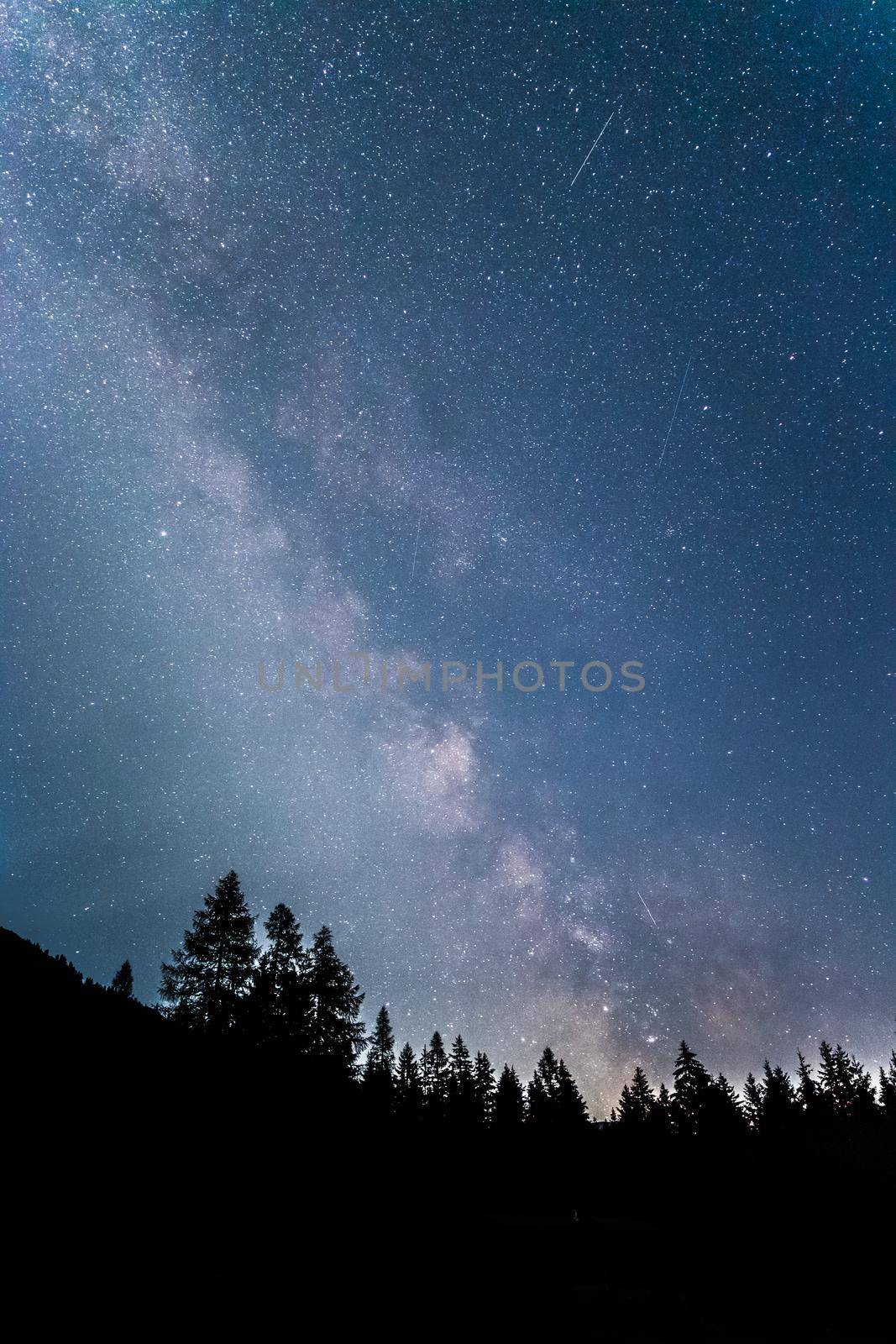 Clearly milky way galaxy at dark night, silhouette of trees by Daxenbichler