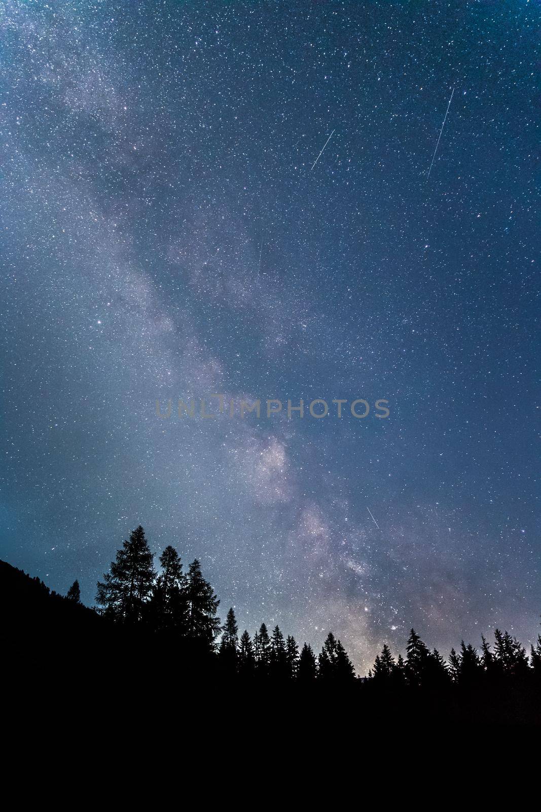 Clearly milky way galaxy at dark night, silhouette of trees by Daxenbichler