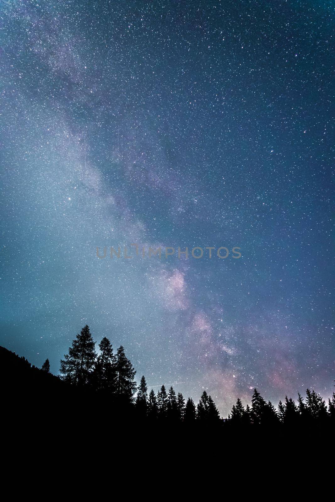 Clearly milky way galaxy at dark night, silhouette of trees by Daxenbichler