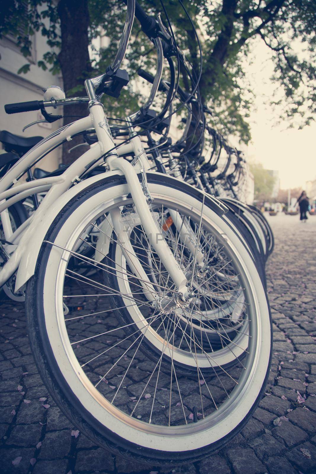 Parking bikes for rental in the city, tourism