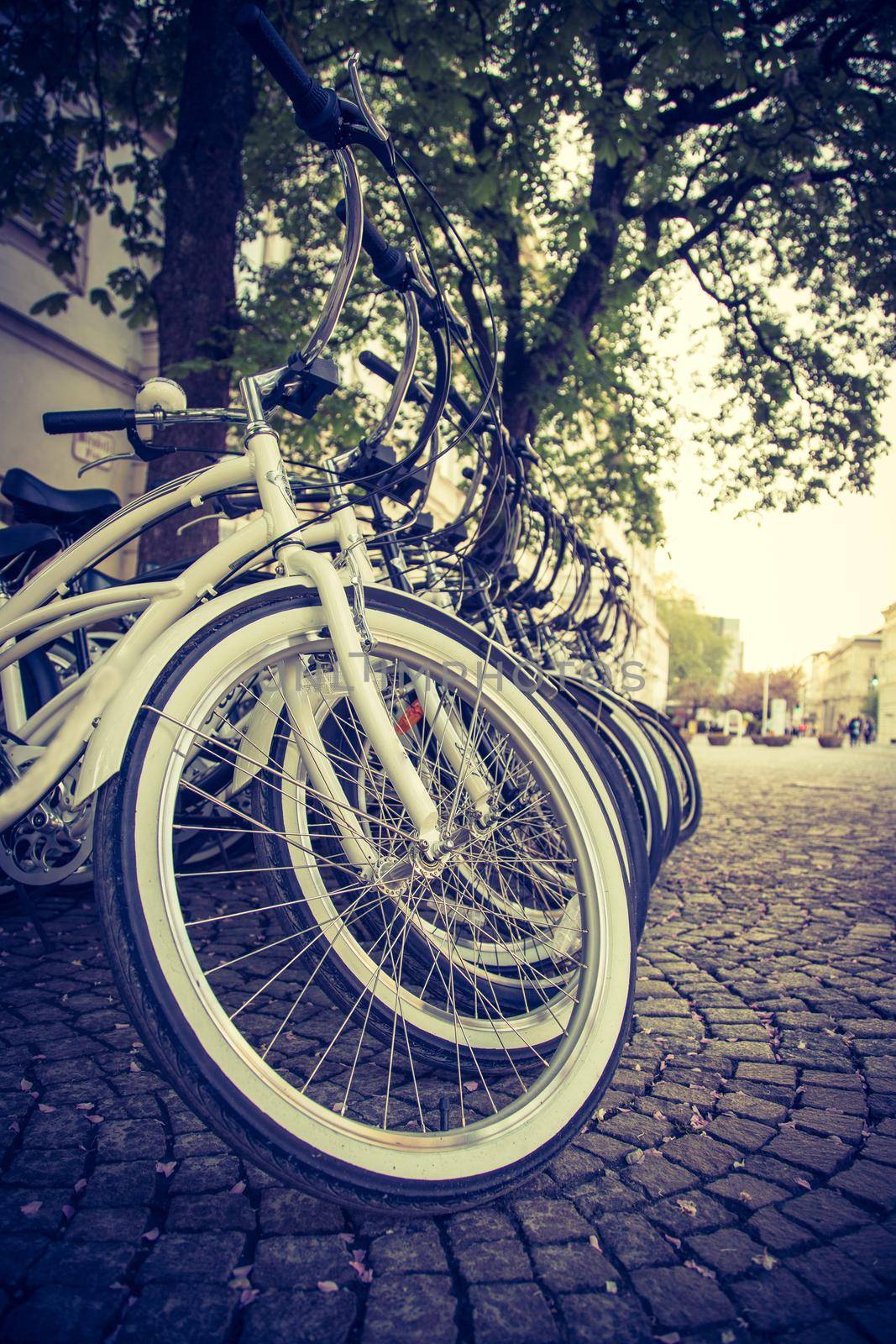 Renting bikes: Parking bikes for exploring the city, tourist attraction by Daxenbichler
