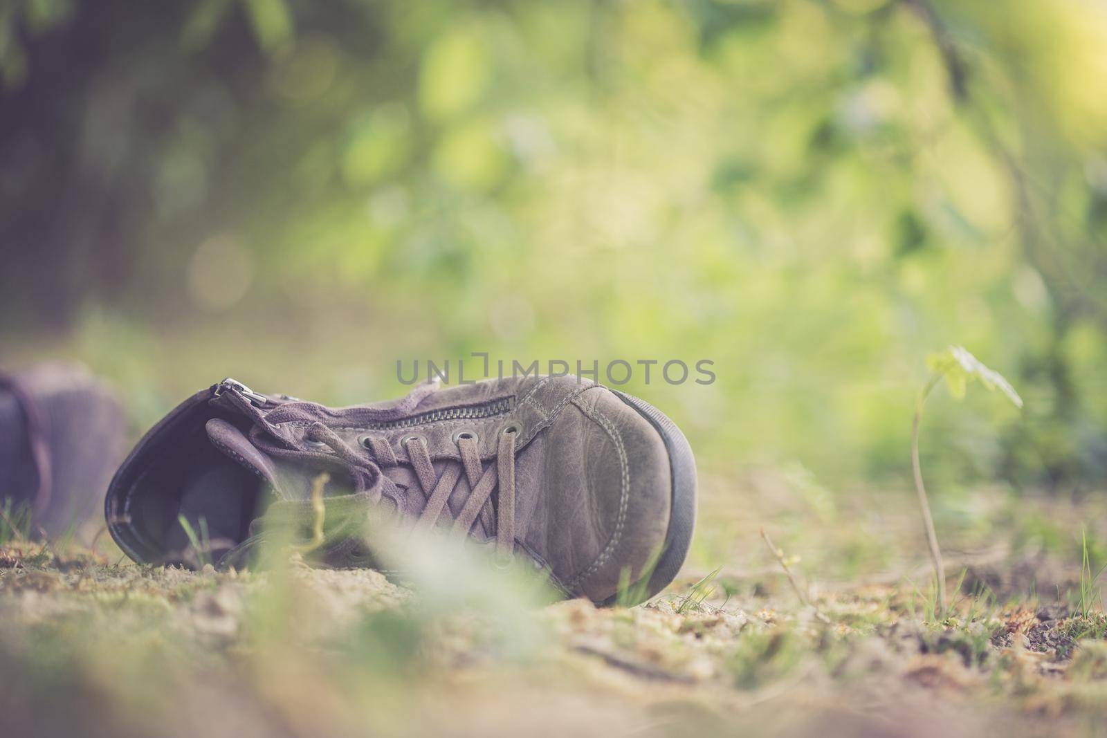 Dusty old shoe abandoned in the nature. Concept for missing.