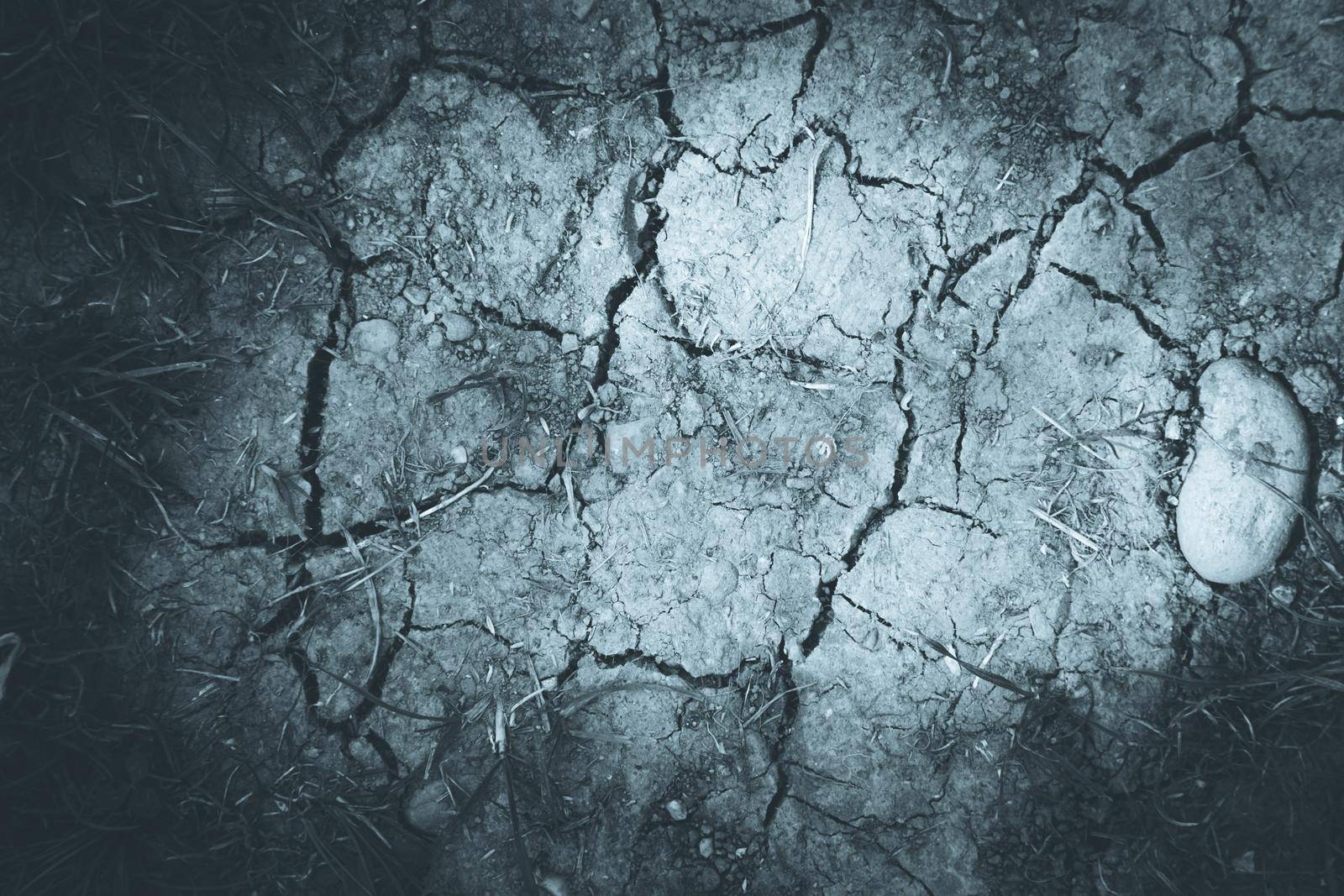 Dry cracked soil on a field, global warming by Daxenbichler