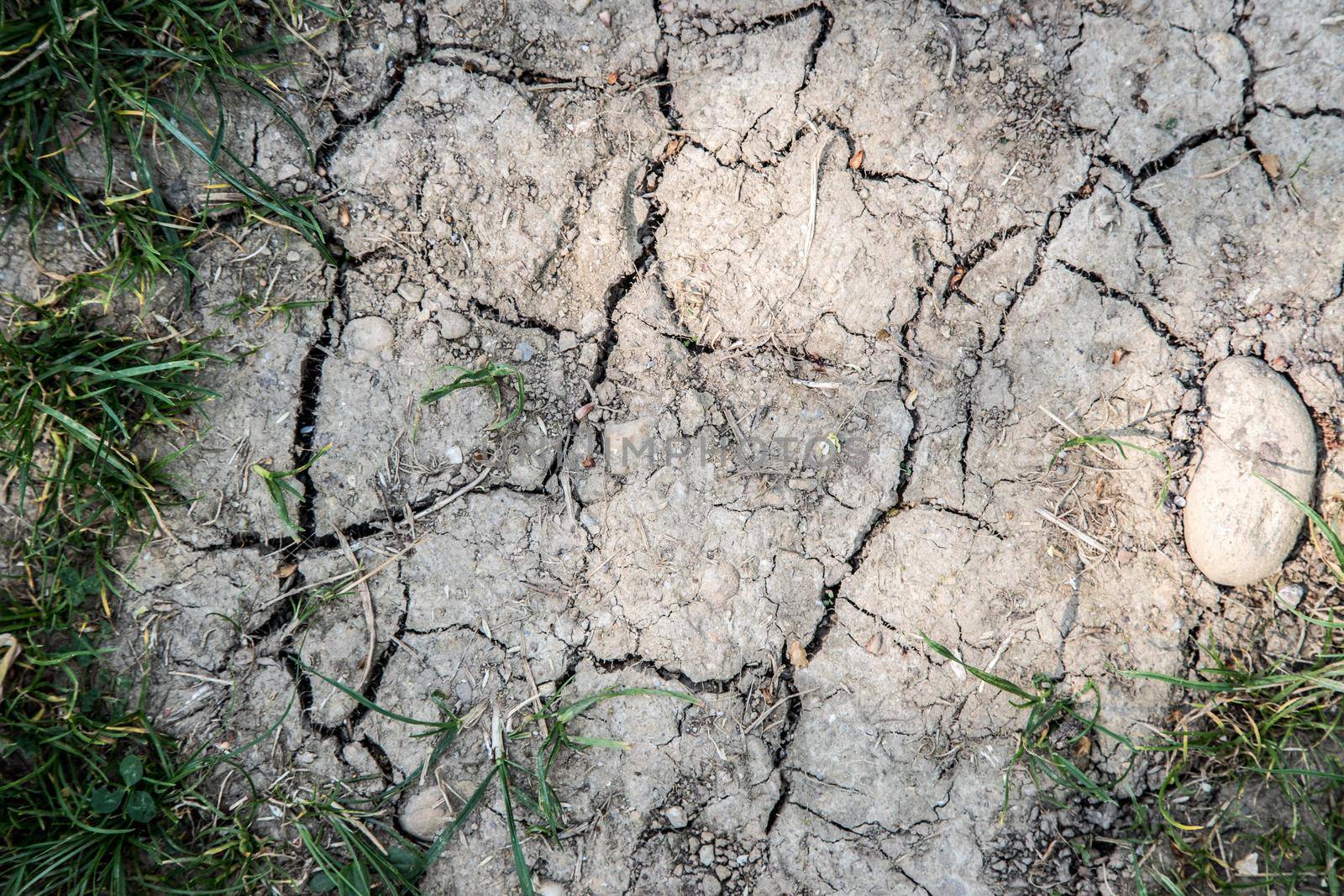 Dry soil on an agriculture field, drought