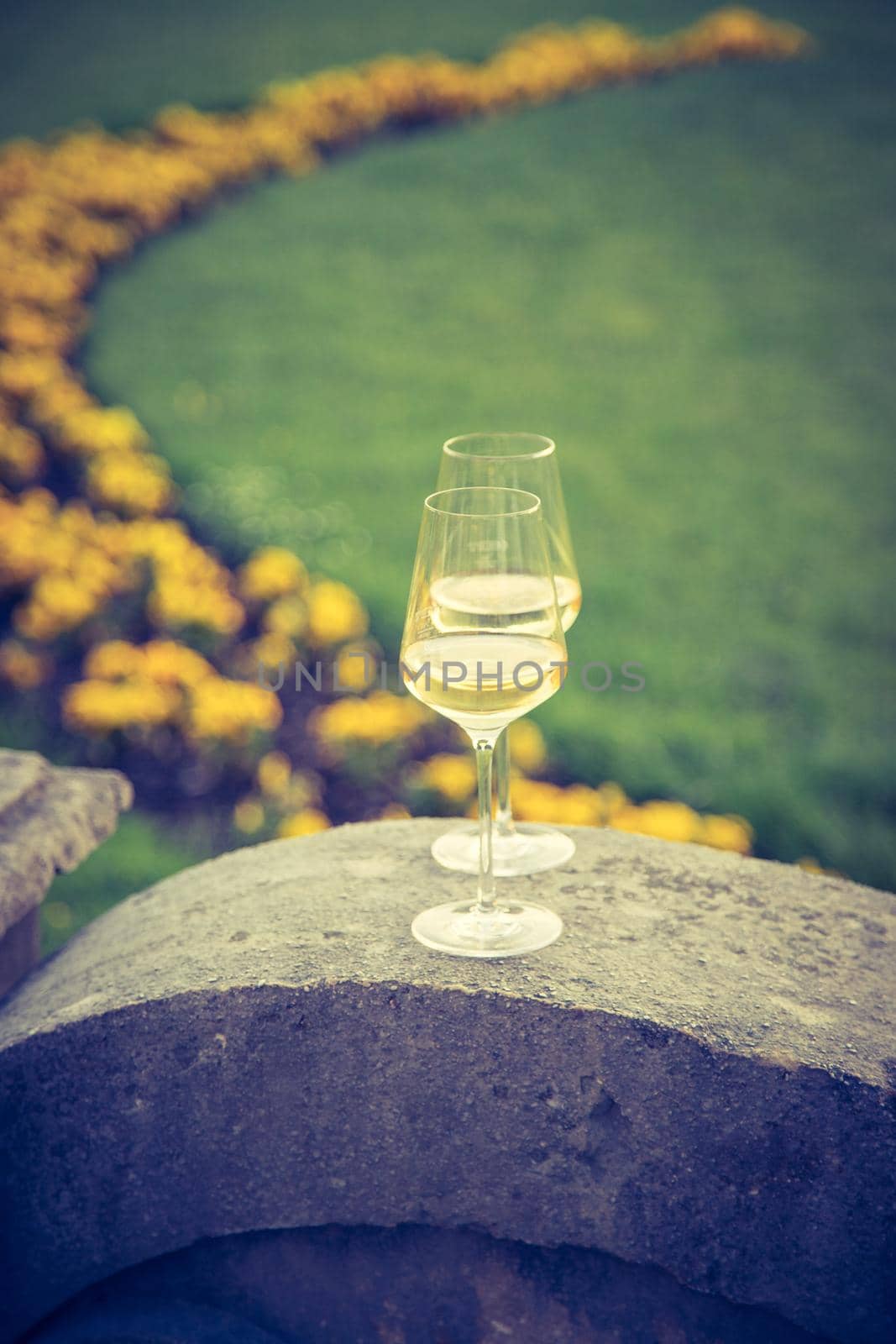 Enjoying a glass of white wine in the own garden. Evening sun, summertime. by Daxenbichler