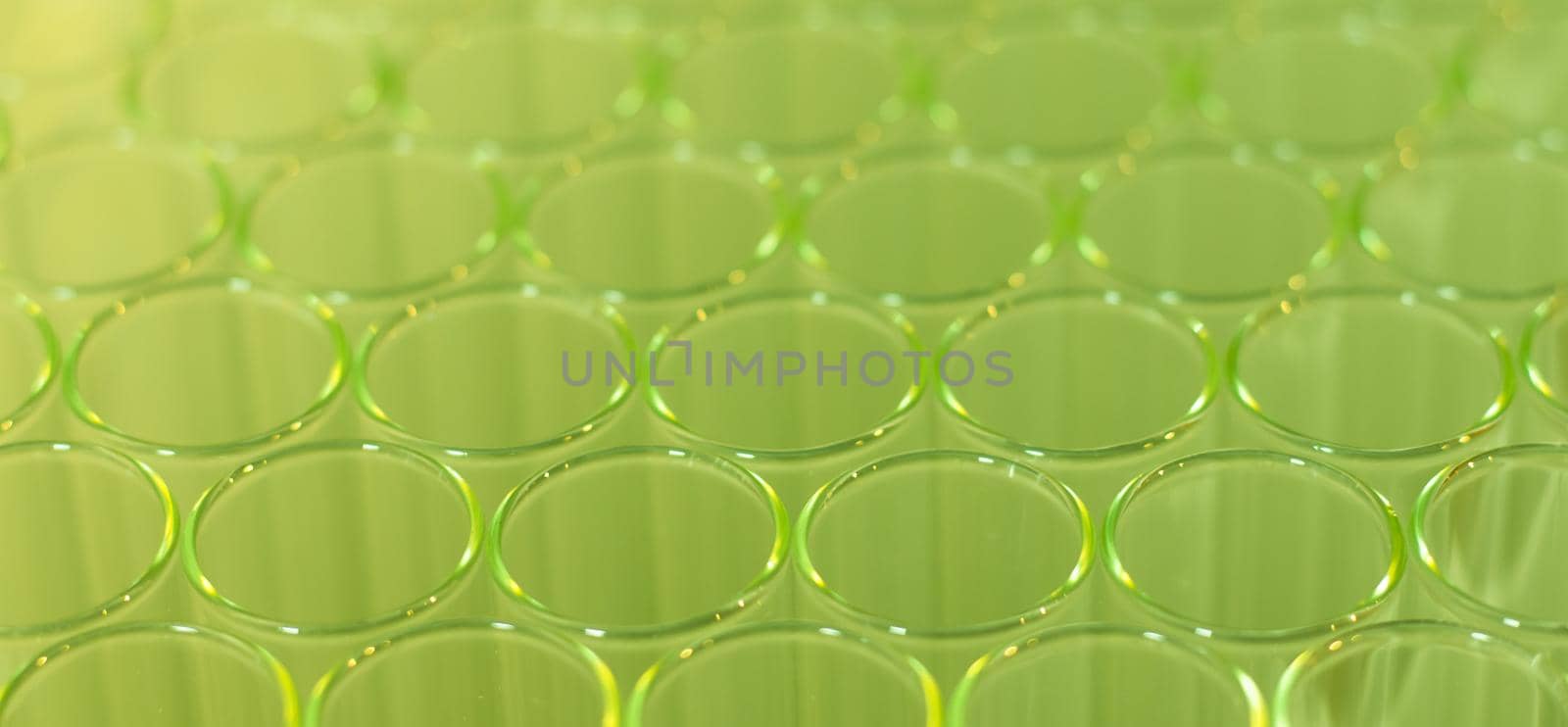 Clean test glass in laboratory, background for chemistry and science by Daxenbichler