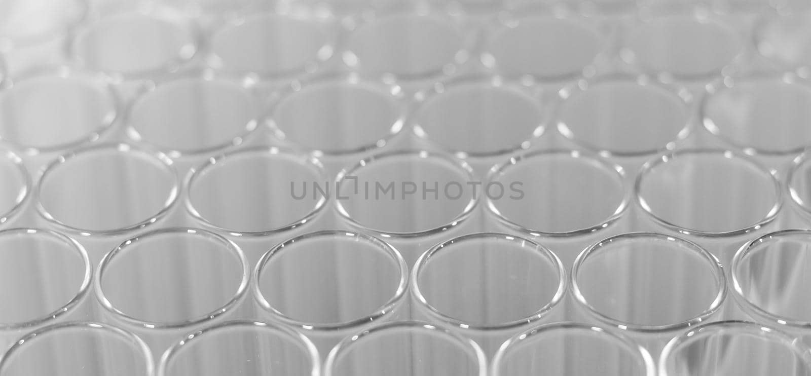 Close up of clean test glasses in chemistry or science laboratory