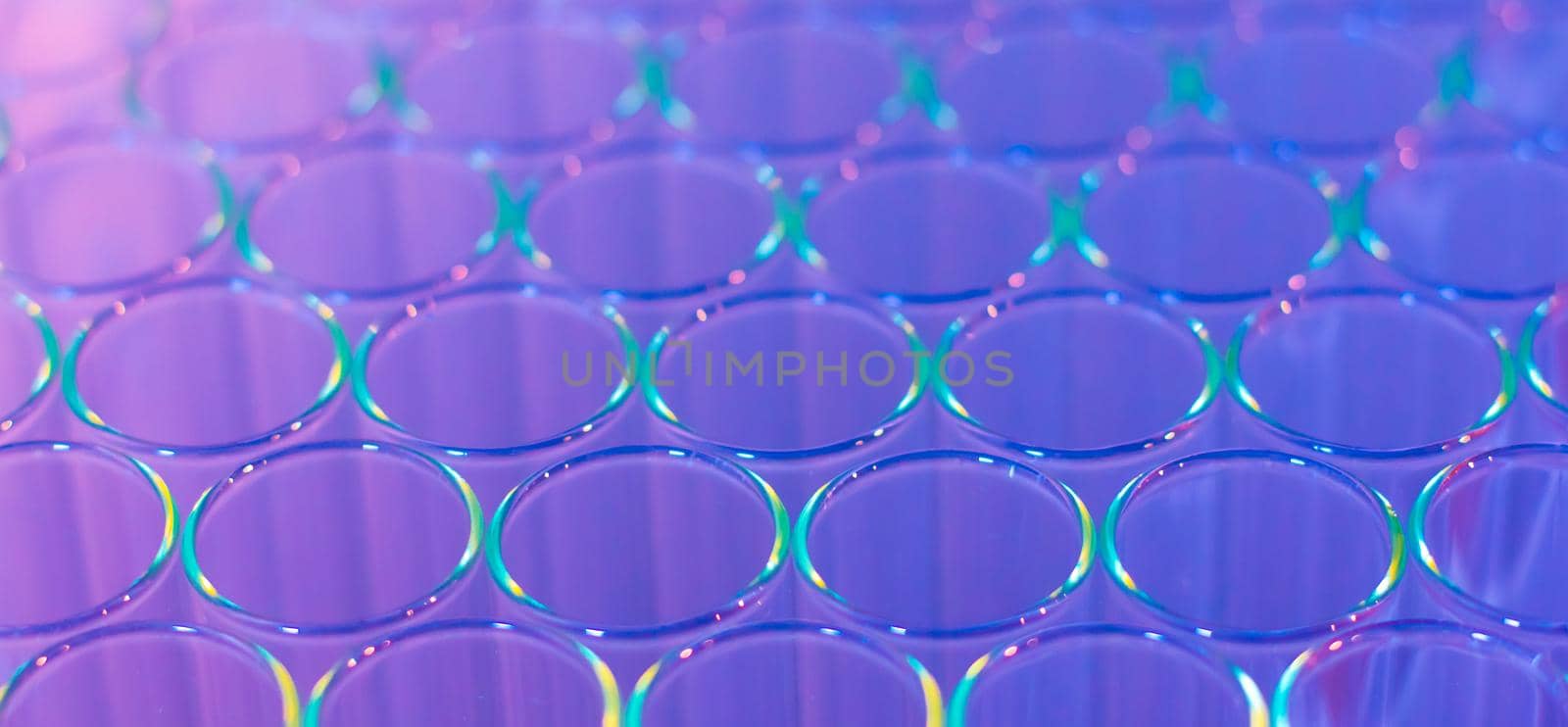 Close up of clean test glasses in chemistry or science laboratory