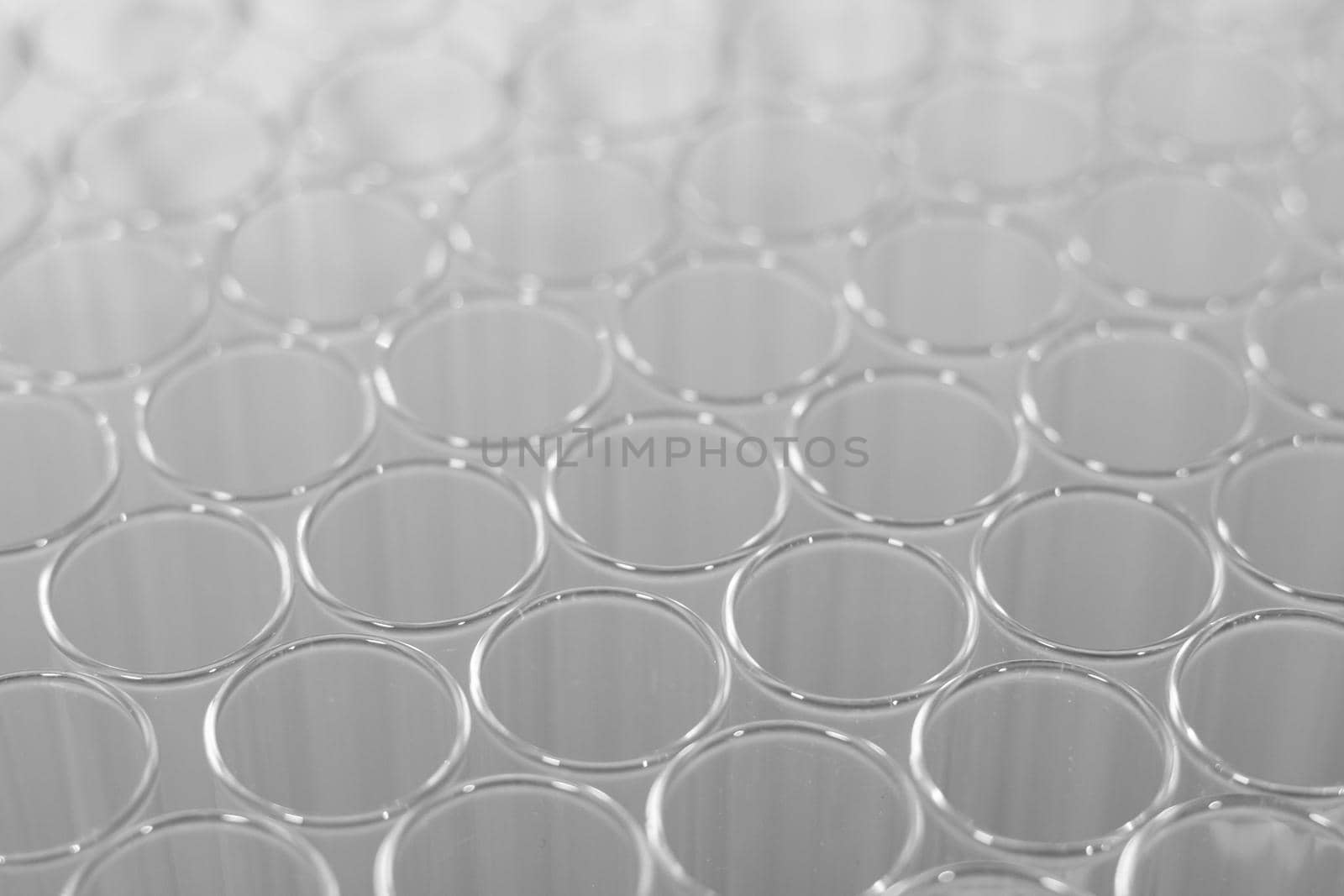 Close up of clean test glasses in chemistry or science laboratory
