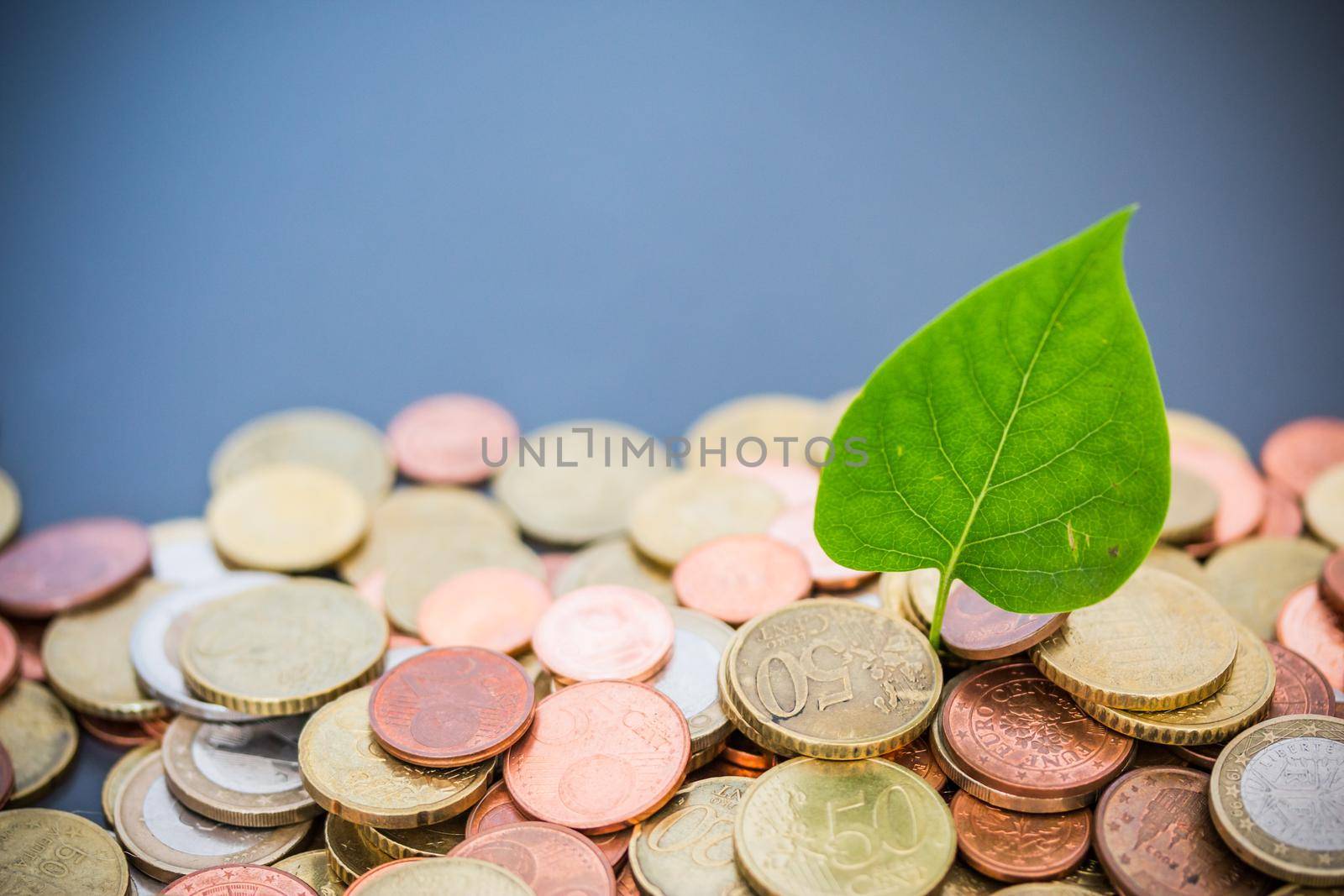 Sustainable investment money concept: Coins tacked on each other, green leaf