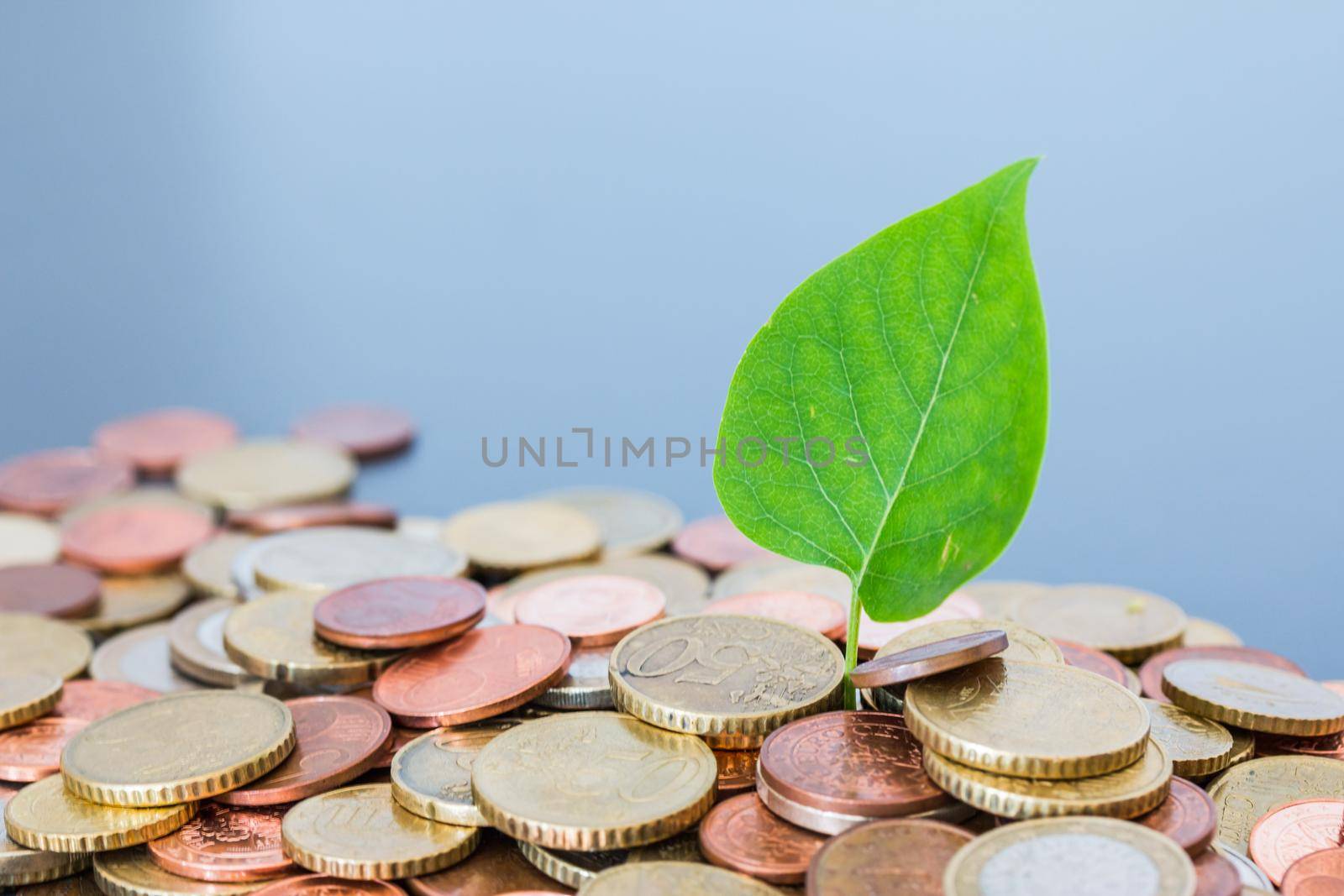 Sustainable investment money concept: Coins tacked on each other, green leaf
