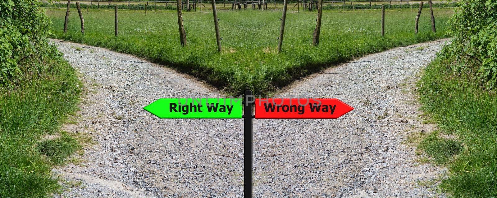 Road sign of right versus wrong decision on country road with meadow background