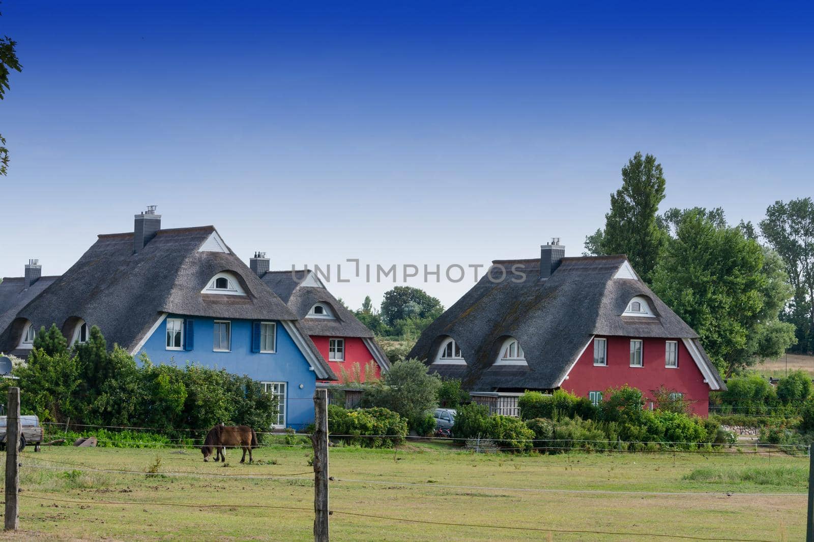 Houses on the Fischland-Darß with a thatched roof