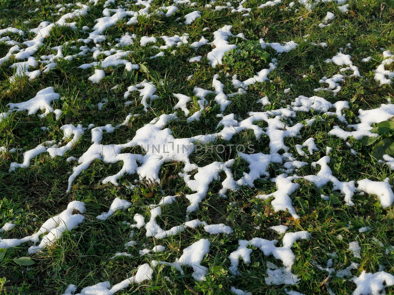 snow residue on a green meadow in winter in Germany