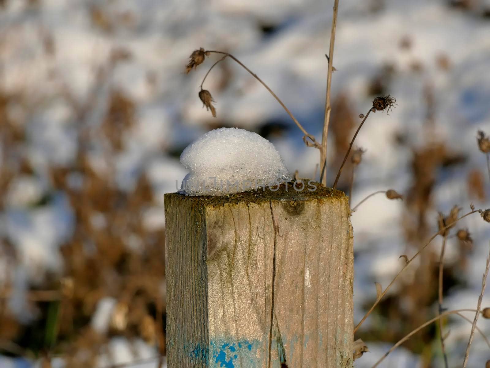 snow on fence post in winter by Jochen