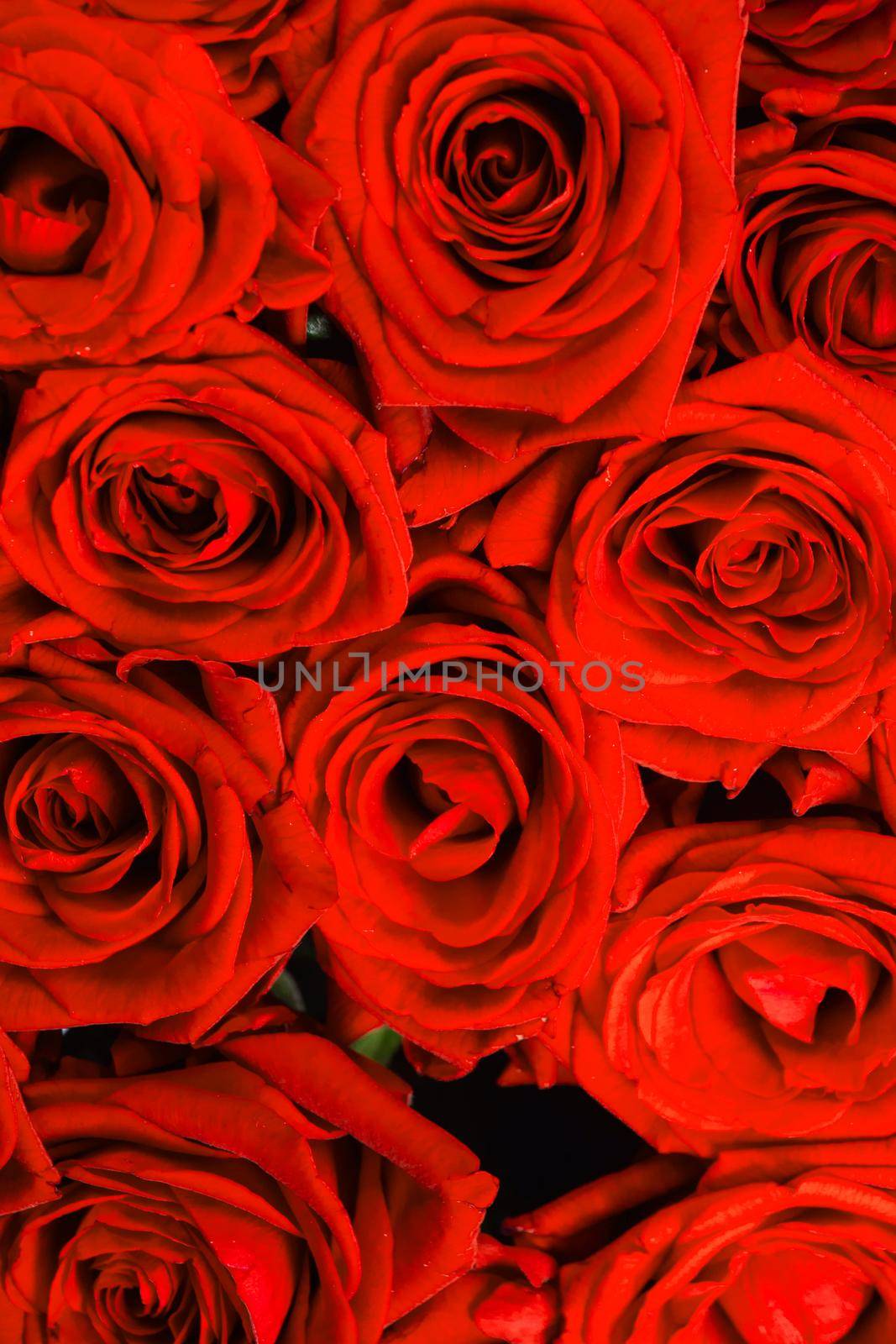 A lot of red roses background, Valentines day gift concept