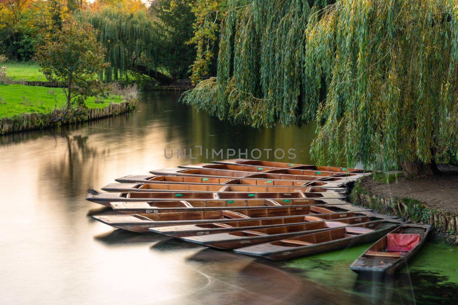 Long exposure of a group of punts docked on the side of rive Cam, Cambridge, UK