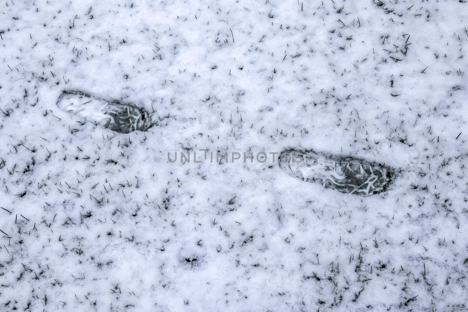 Footsteps of male shoes in fresh white snow in winter by MP_foto71