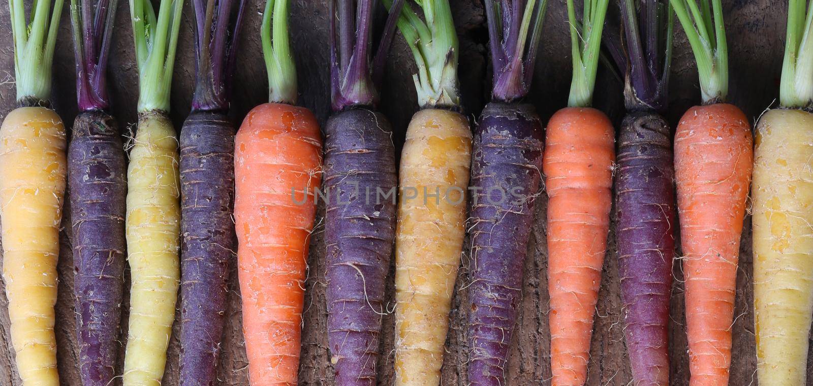 Fresh different colours carrots. Horizontal flat lay on wooden background