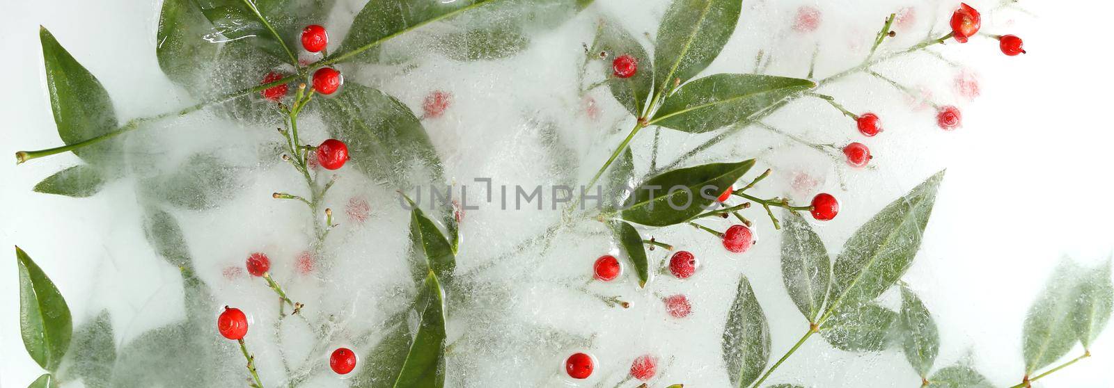 Frozen flowers arrangement in ice by NelliPolk