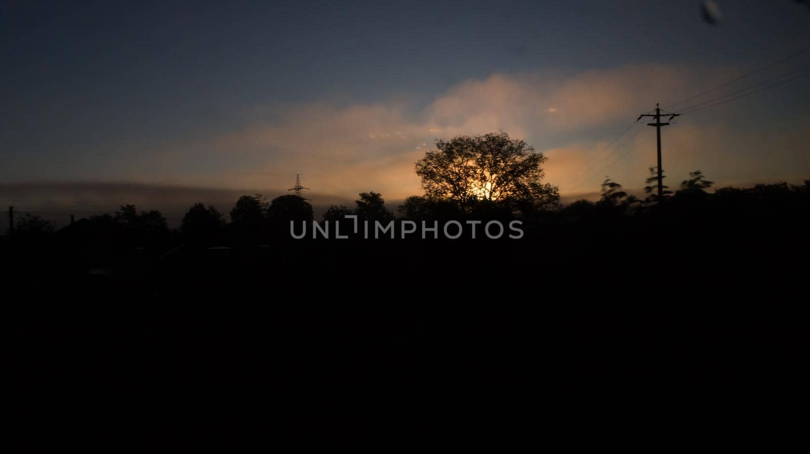 Morning sunrise behind tree. Backlit tree in the morning