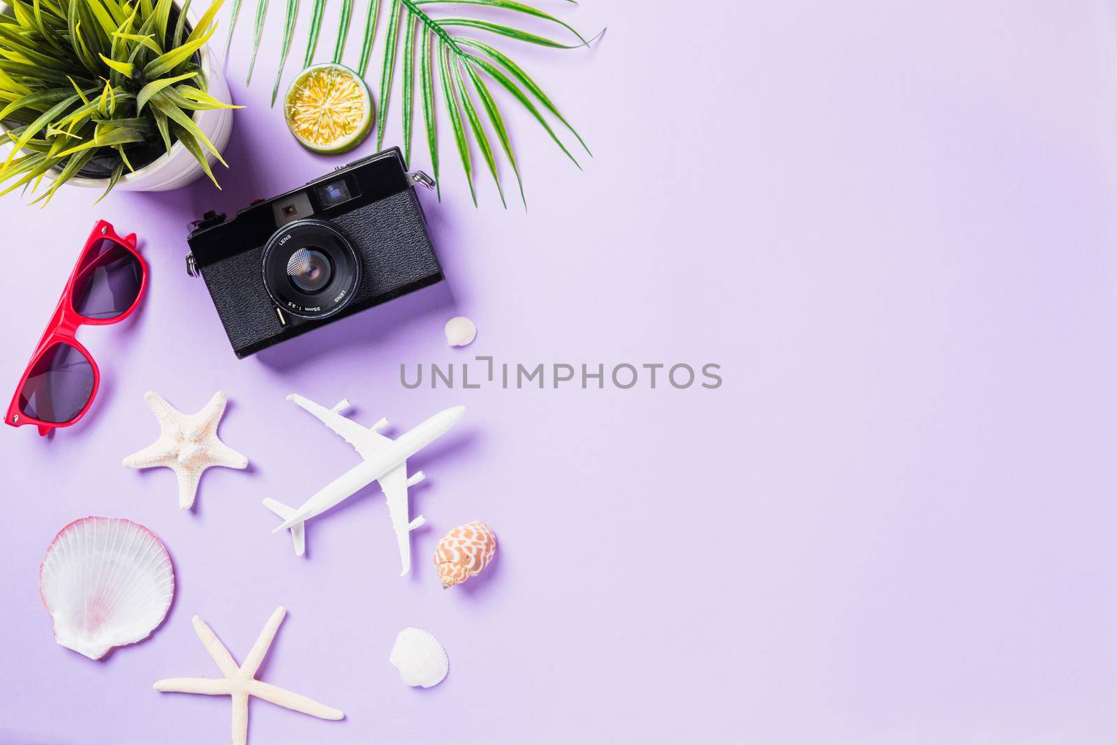 retro camera films, airplane, sunglasses, starfish traveler accessories by Sorapop