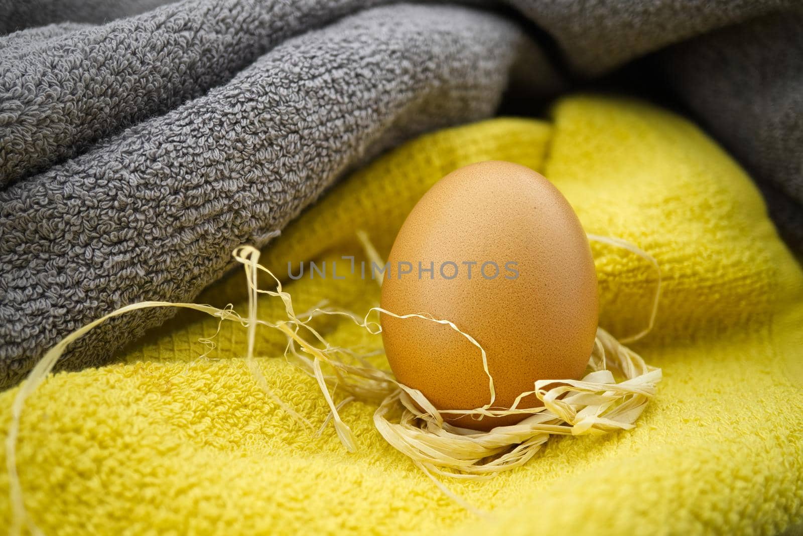 Fresh brown egg on two tone grey and yellow textile. Organic farming and color trends concept
