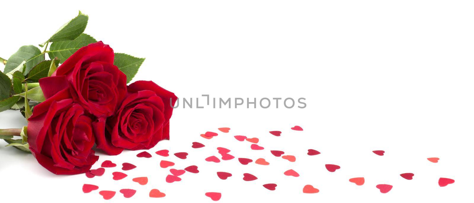 Three red roses and many small paper hearts isolated on white background, love romantic gift for Valentine day
