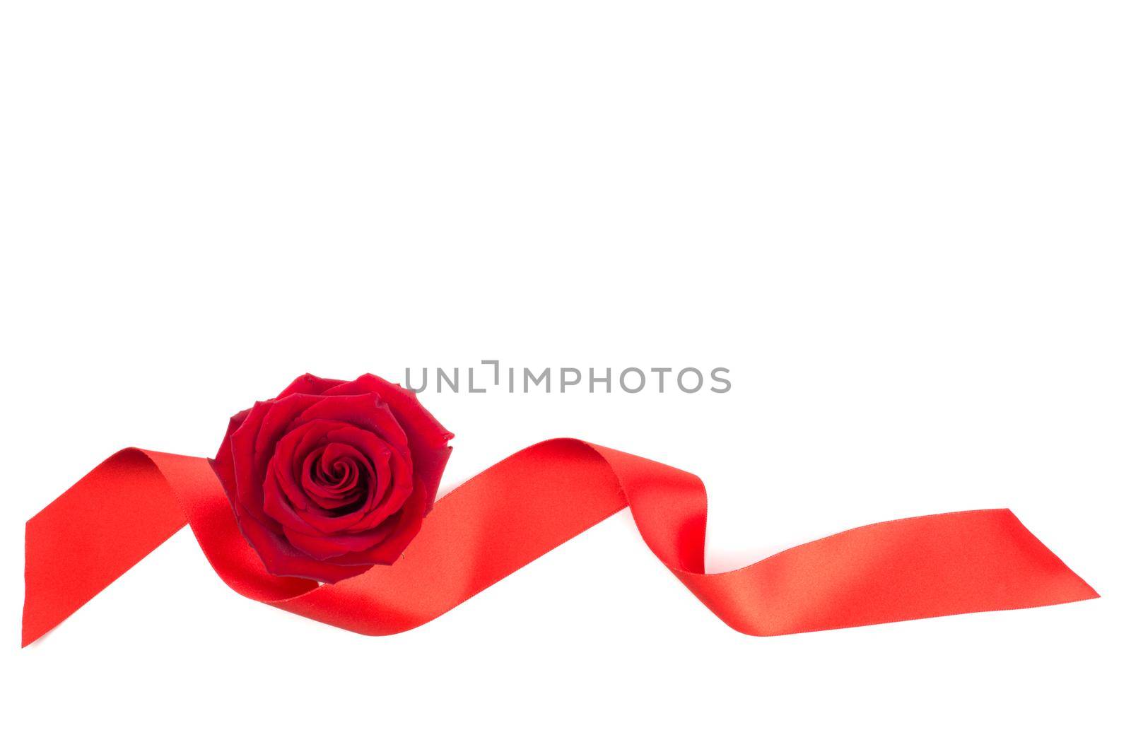 Red rose flower and ribbon arrangement isolated on white background, top view, design element for Valentines day, border frame element