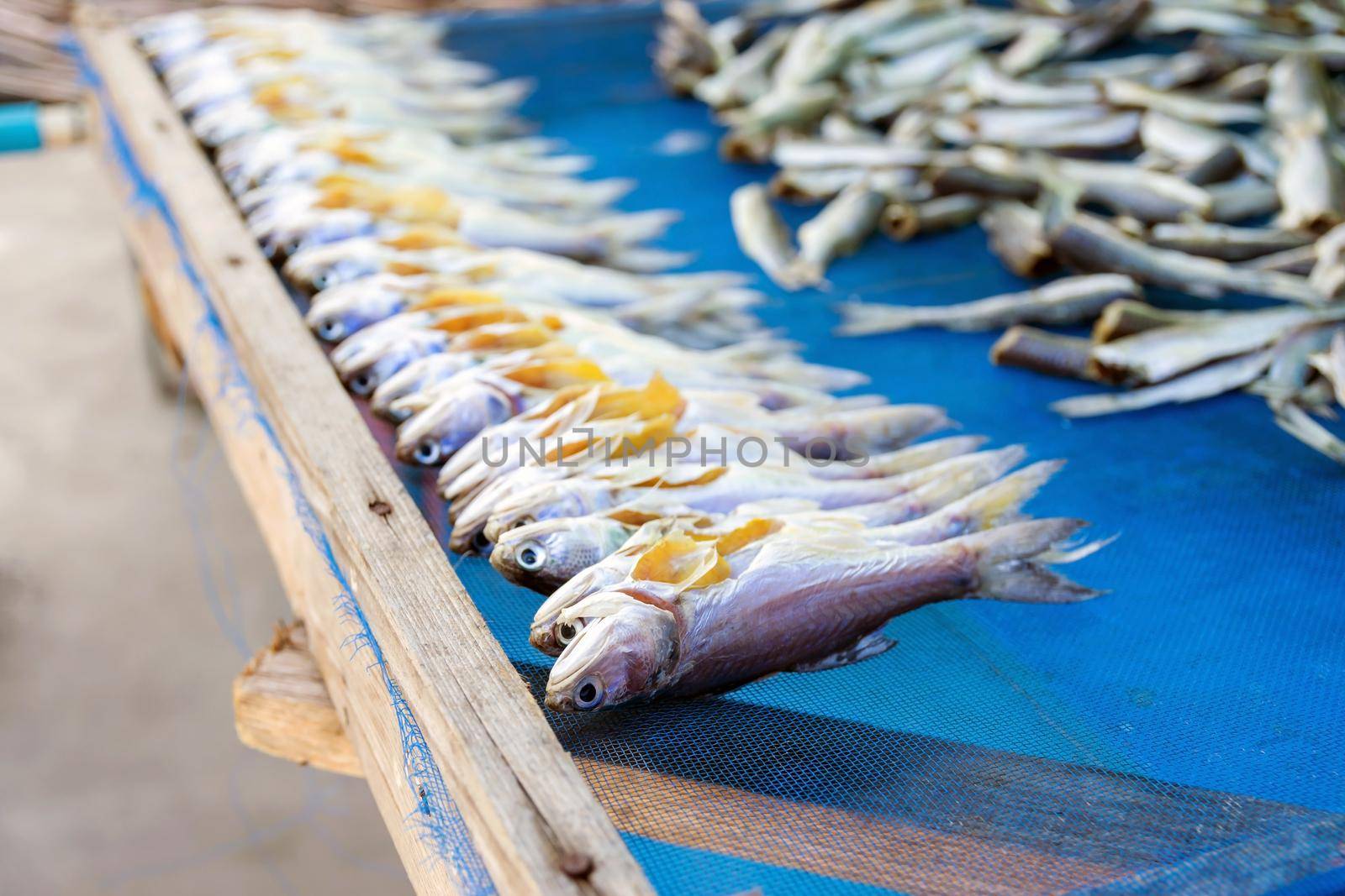 Group of sea fish dried. by wattanaphob