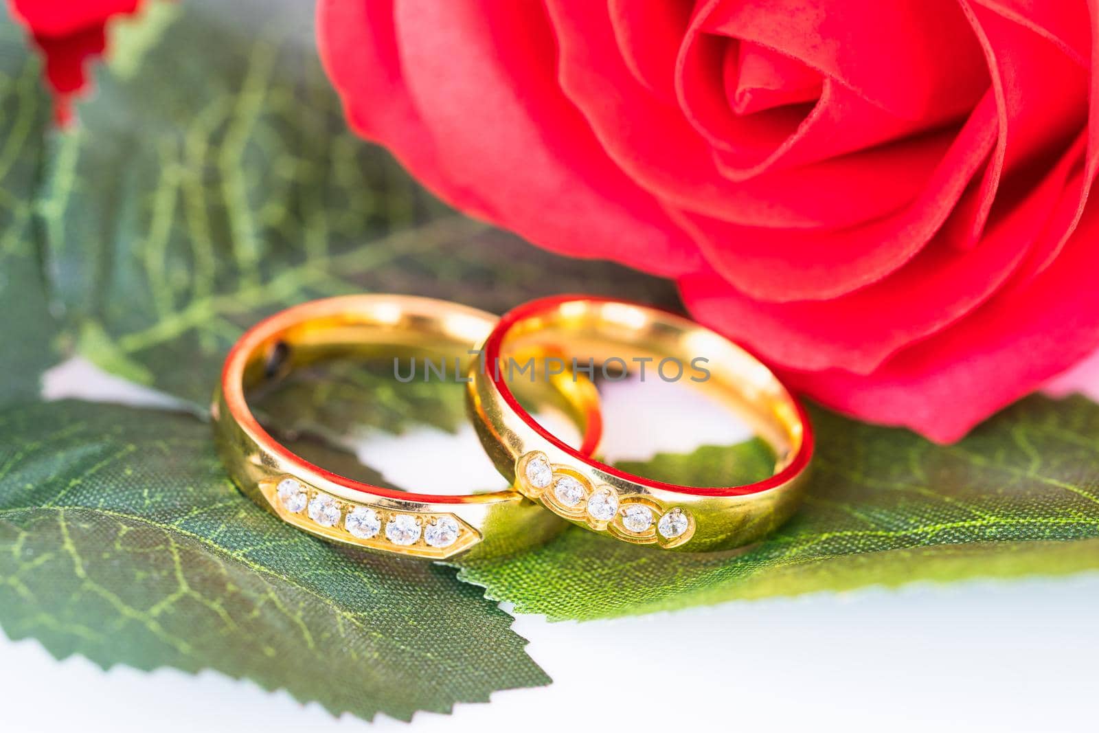 Close up Gold ring and Red roses on white  background, Wedding concept with roses and gold rings