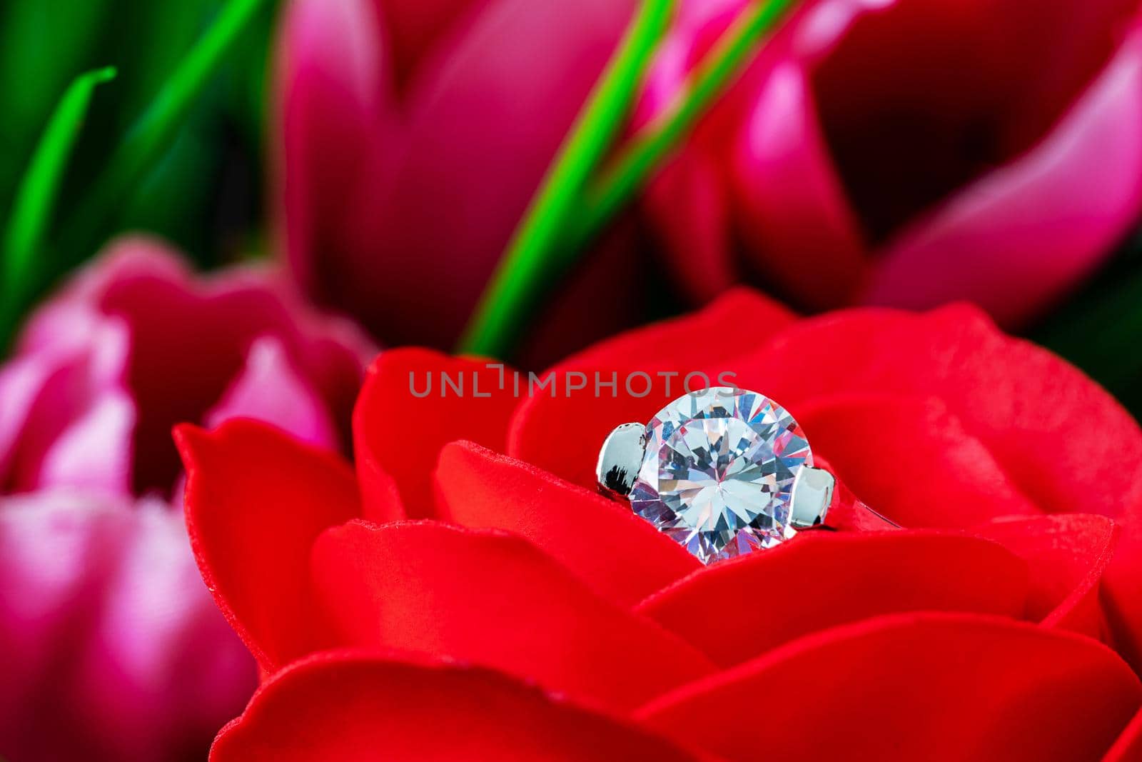 Closeup Diamond gem wedding rings  on red roses leaves