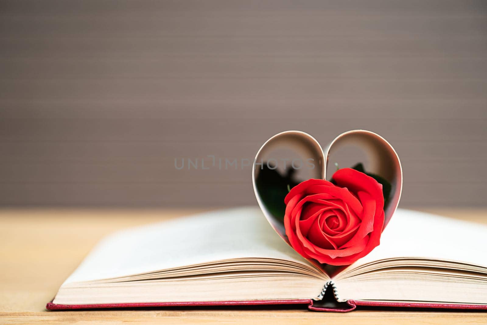 Pages of book curved into a heart shape and red rose,Love concept of heart shape from book pages
