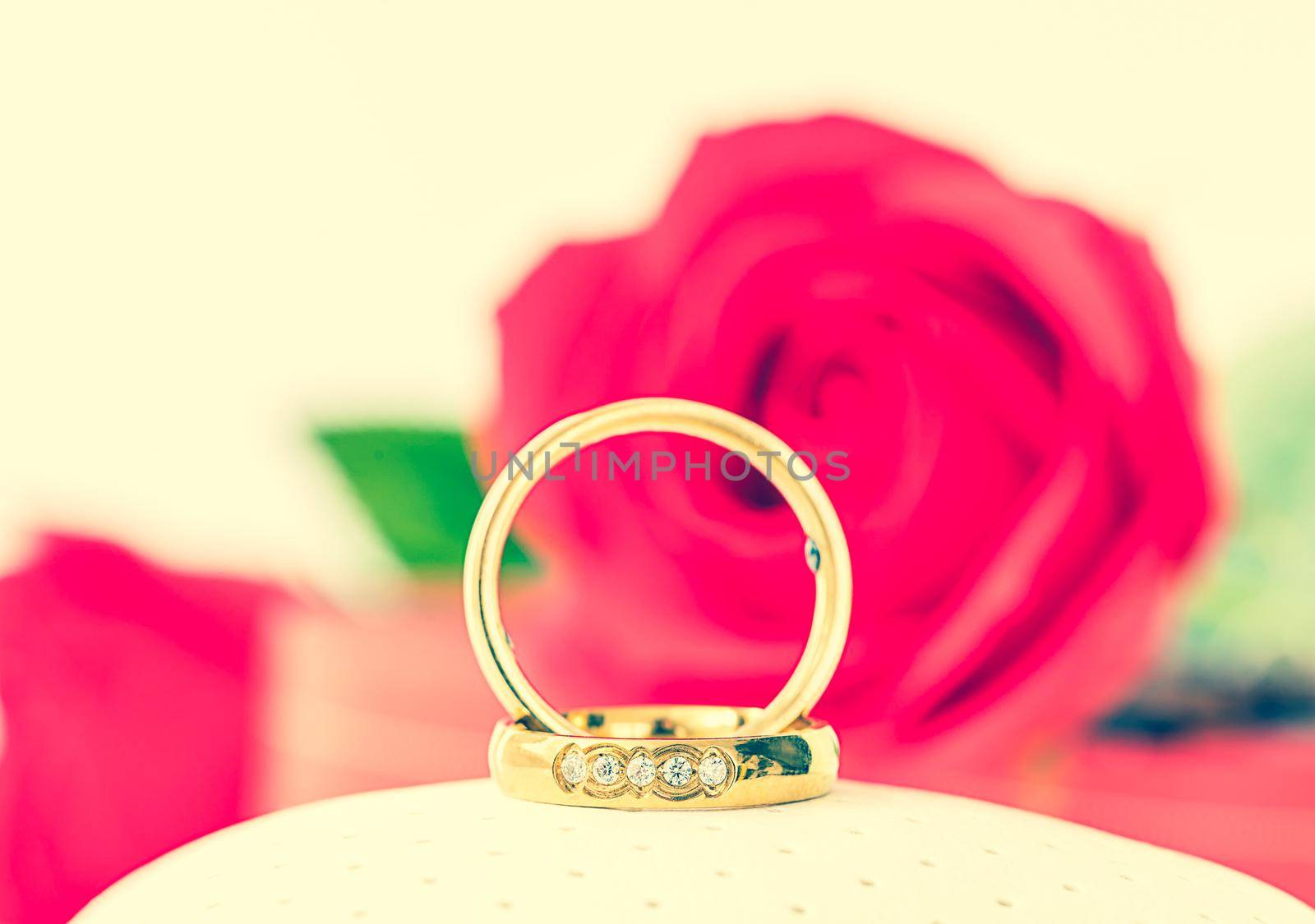 Red plastic fake roses on white background, Wedding concept with roses and gold rings