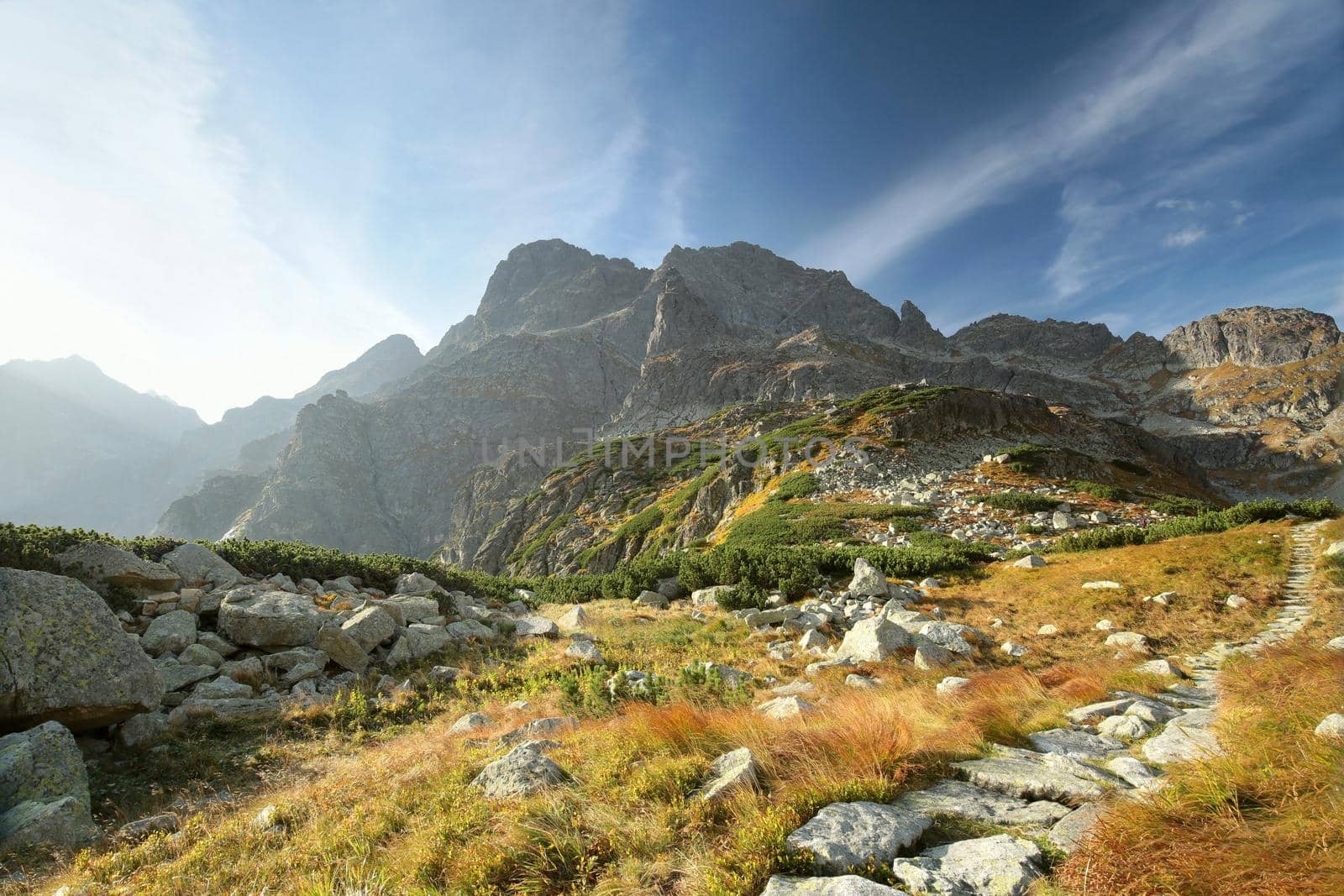 Trail in the valley leading to the peak in the Carpathian Mountains, Poland.