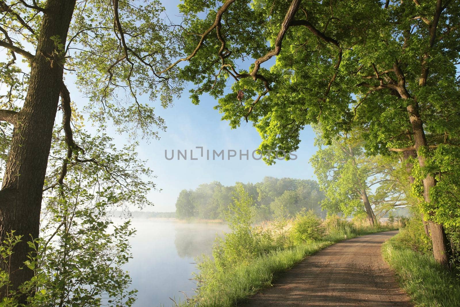 Country road on the edge of a lake on a spring morning.