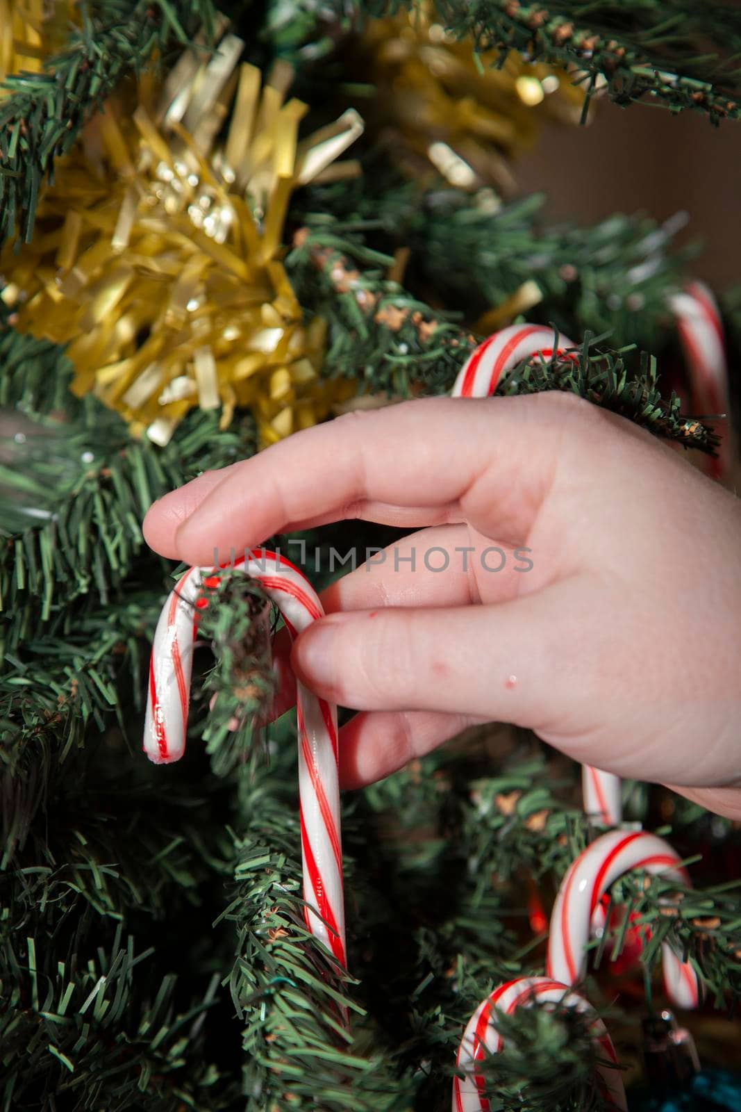 Woman adding candy canes to an artificial Christmas tree over golden tinsel