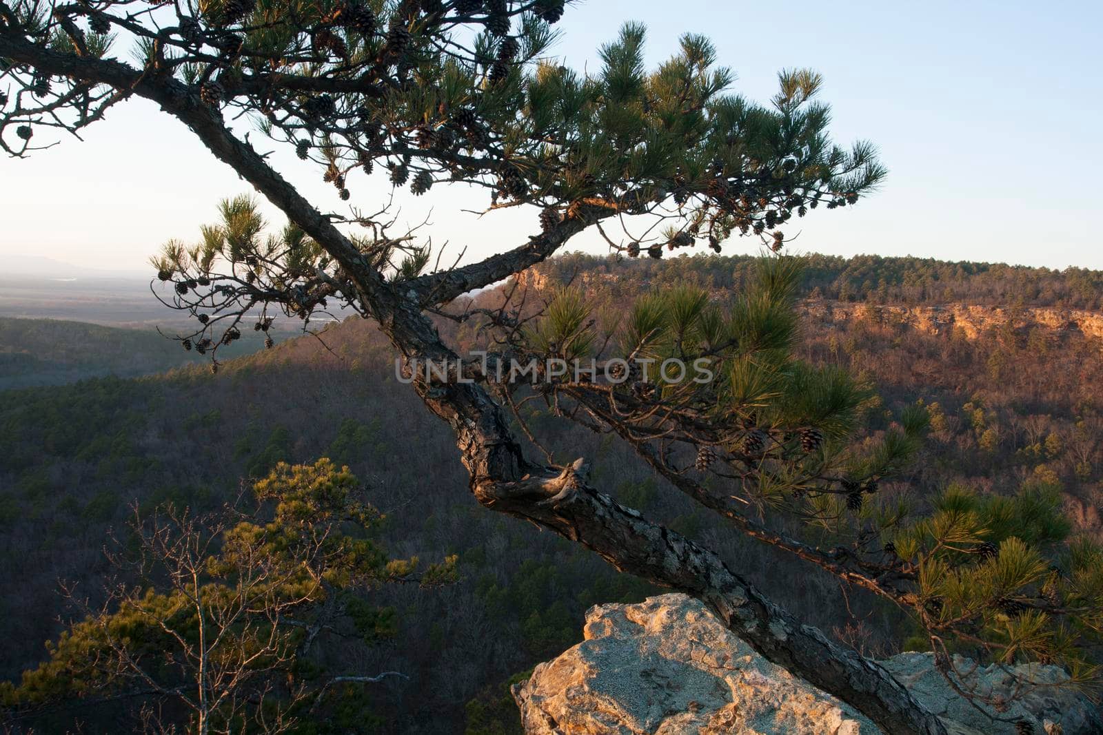 Petit Jean State Park, Arkansas