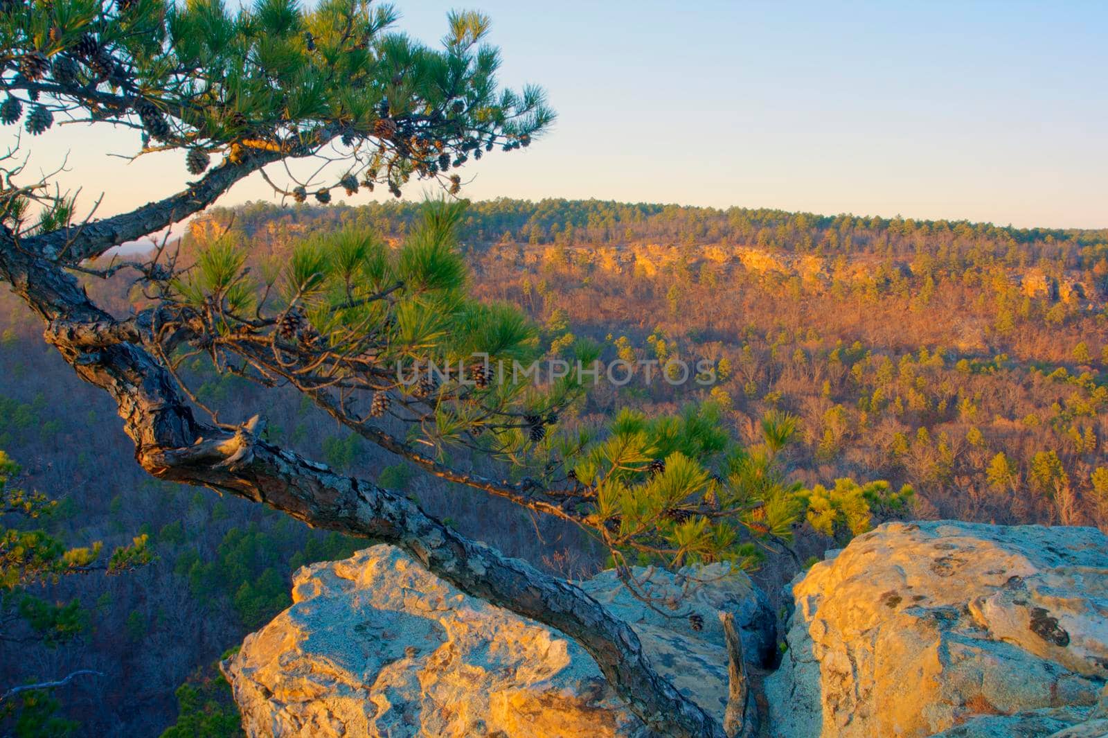 Petit Jean State Park, Arkansas
