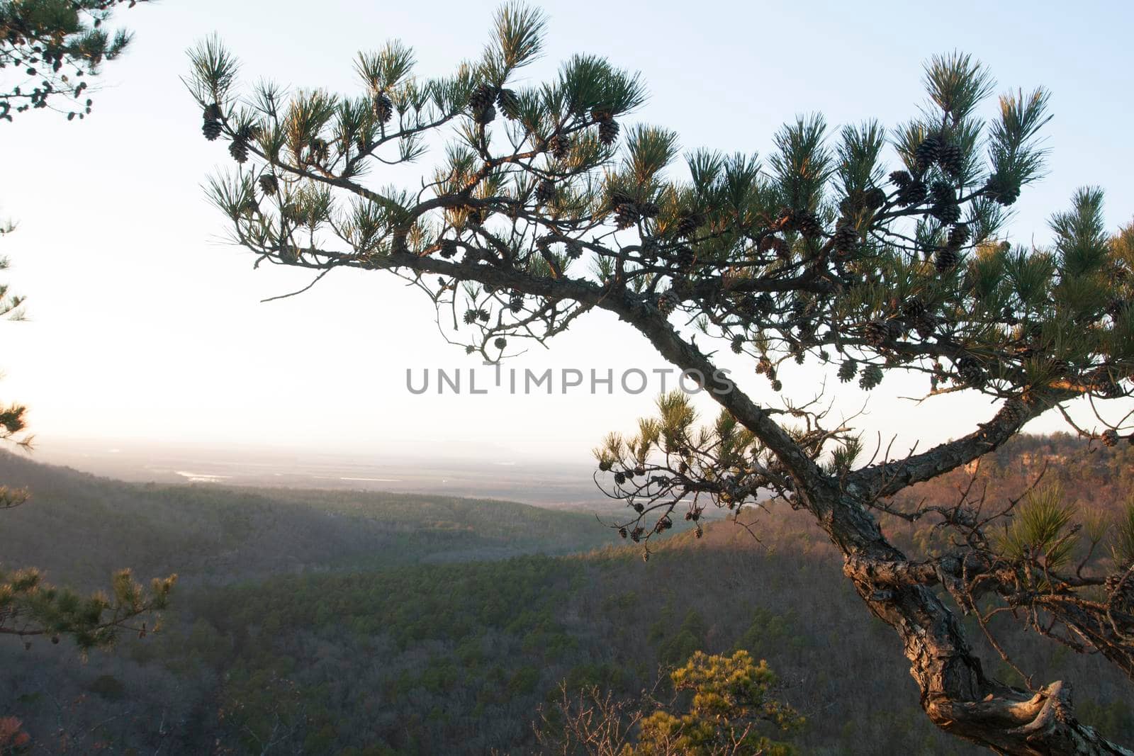 Petit Jean State Park, Arkansas