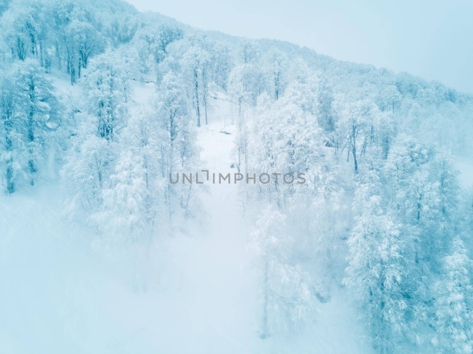 Beautiful winter landscape with forest in mountains, trees covered with snow frost, foggy morning