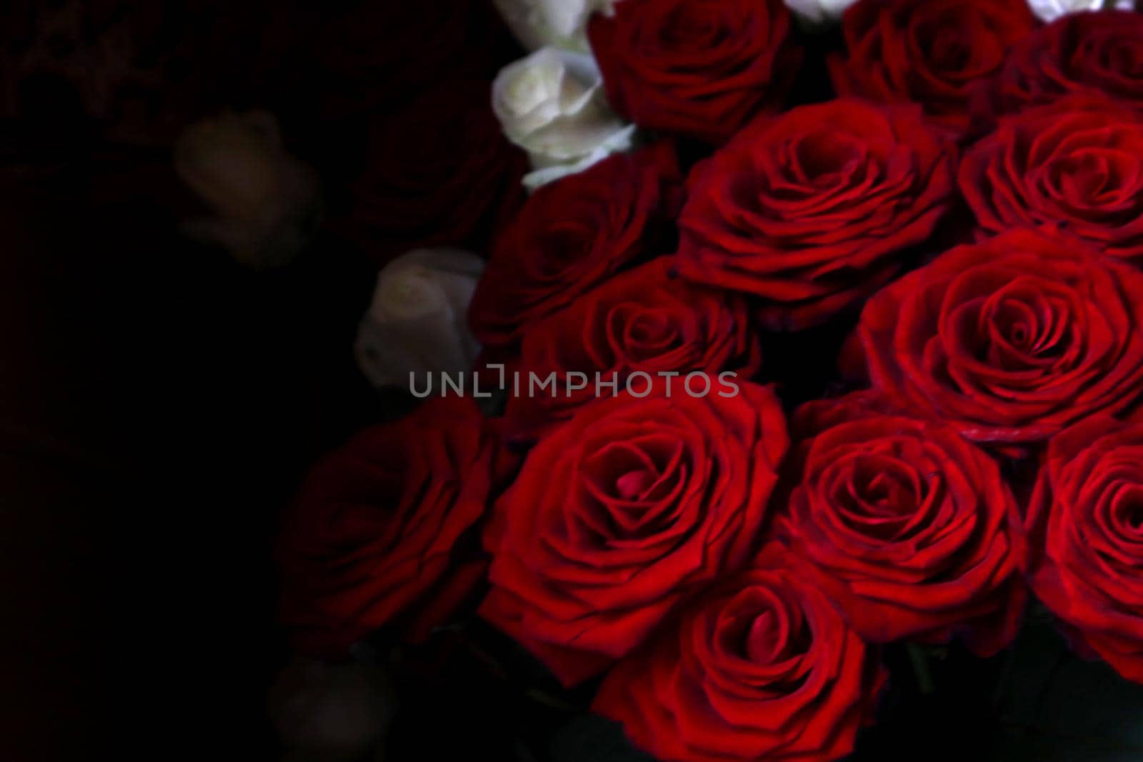 Bouquet of red roses in the background a bouquet of white roses