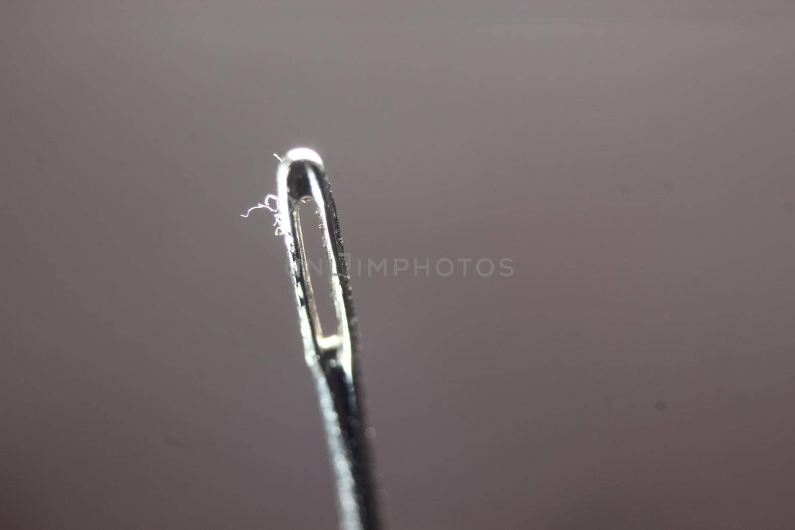 Small needle with empty eyelet, isolated over the black background. by Photochowk