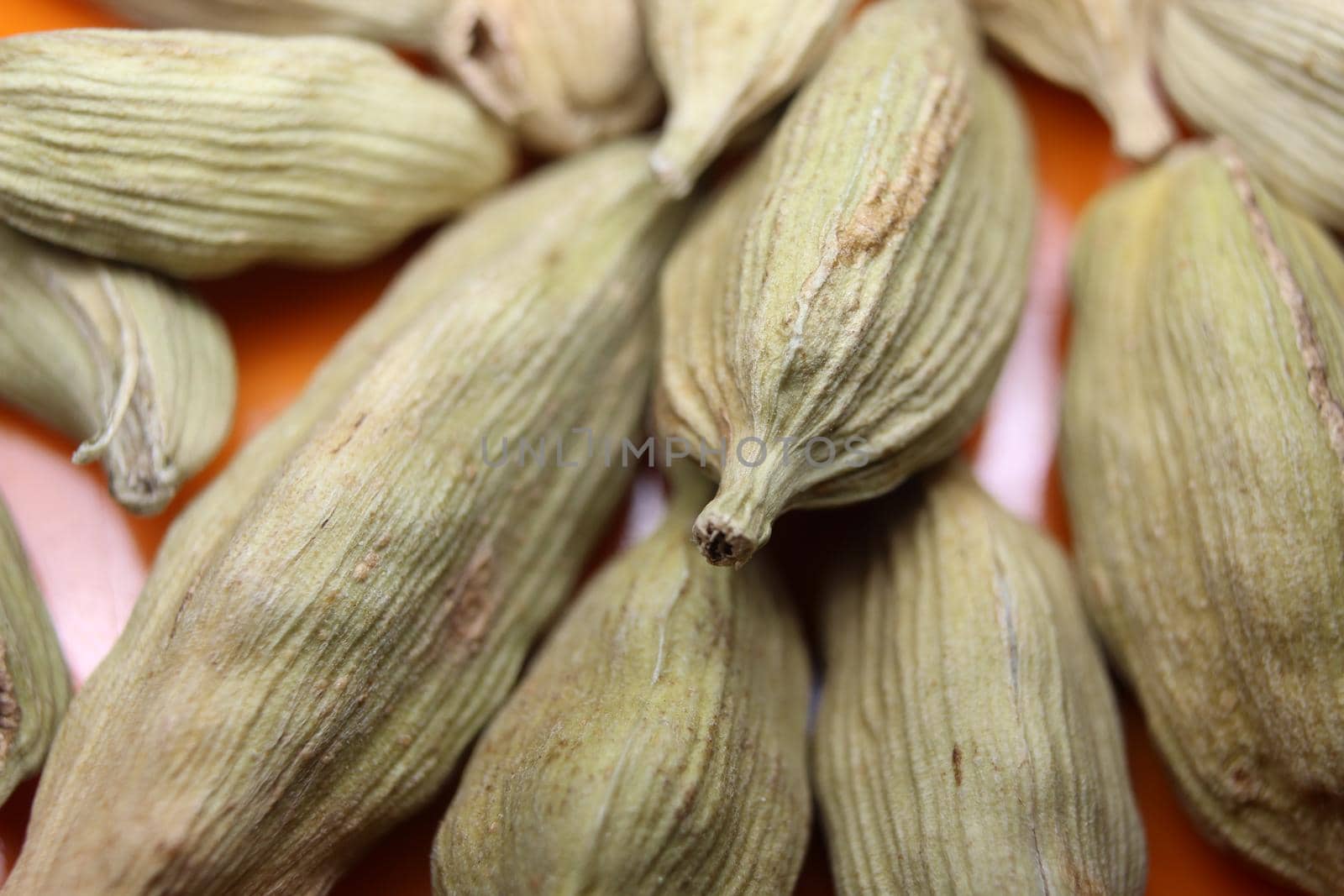 Closeup top view of dried green Elettaria cardamomum fruits with seeds, cardamom spice scattered on white background