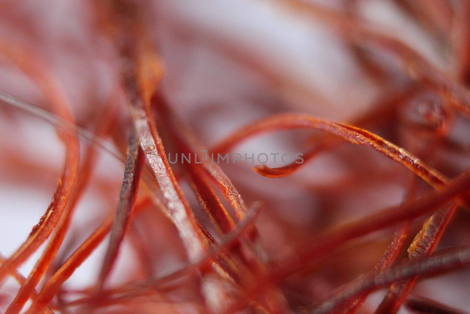 Macro photograph view of saffron with selective focus. Crocus sativus, commonly known as the "saffron crocus"