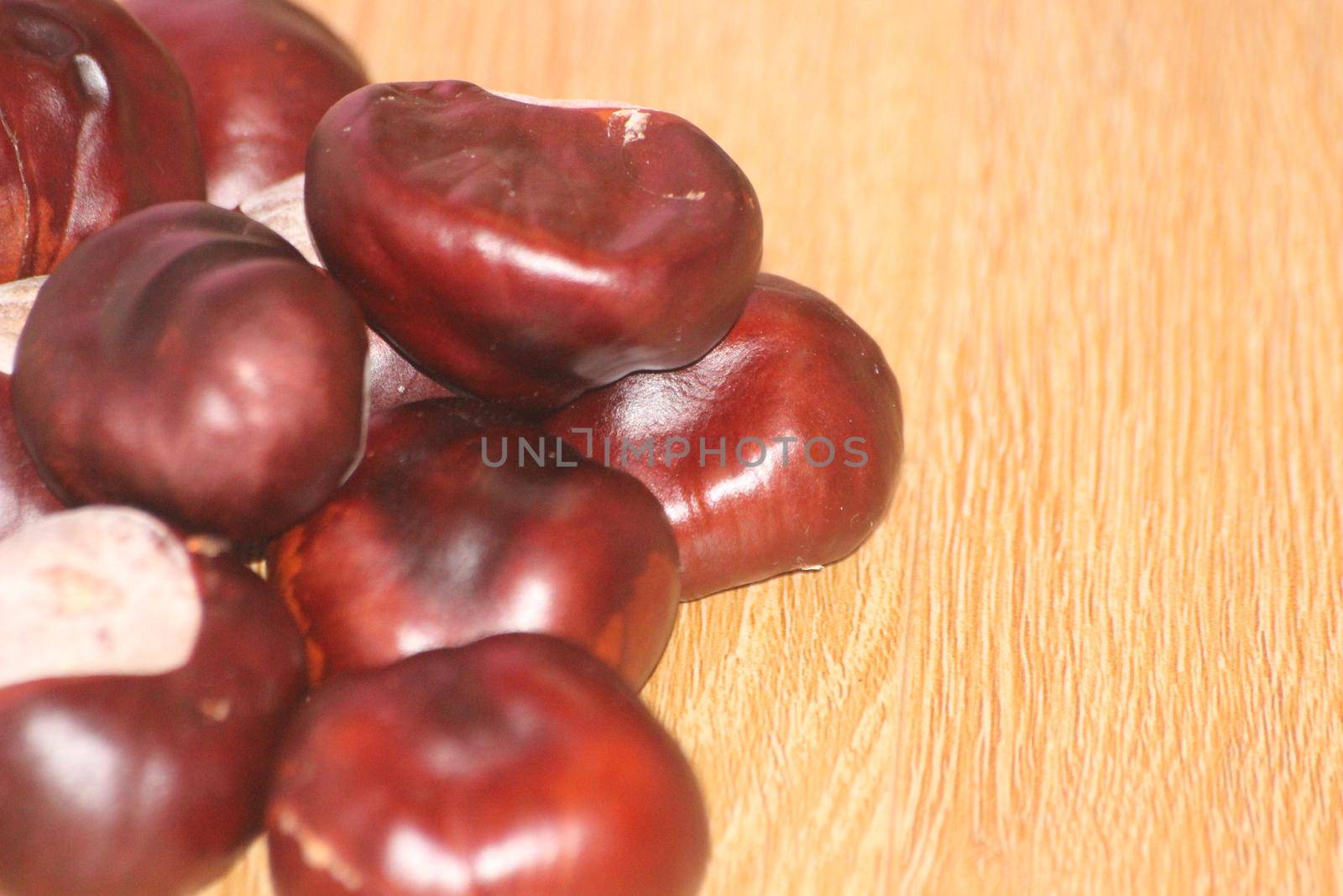 Close-Up of bunch of dried chestnut fruits over wooden background. by Photochowk